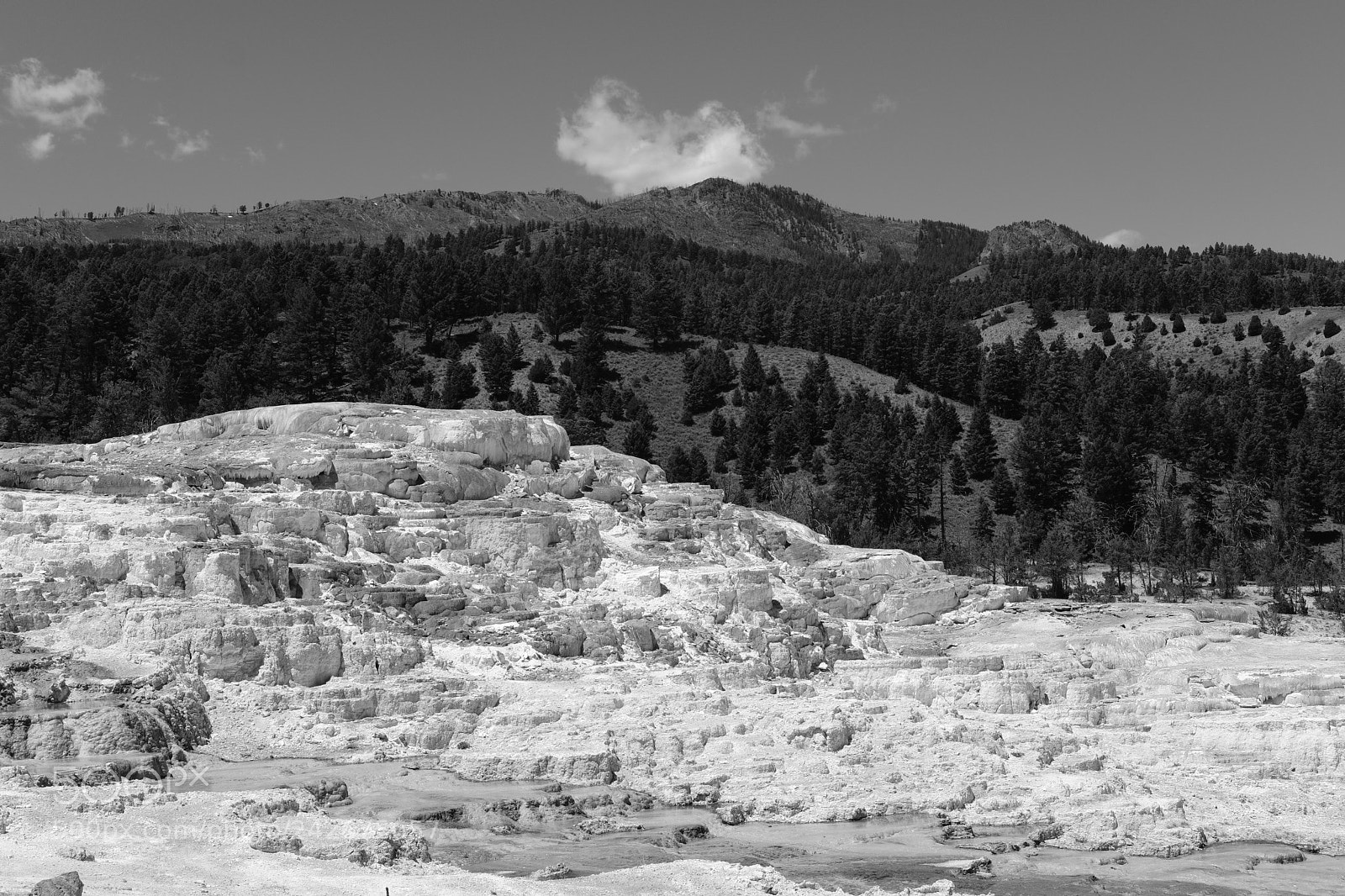 Fujifilm X-T2 sample photo. Yellowstone photography