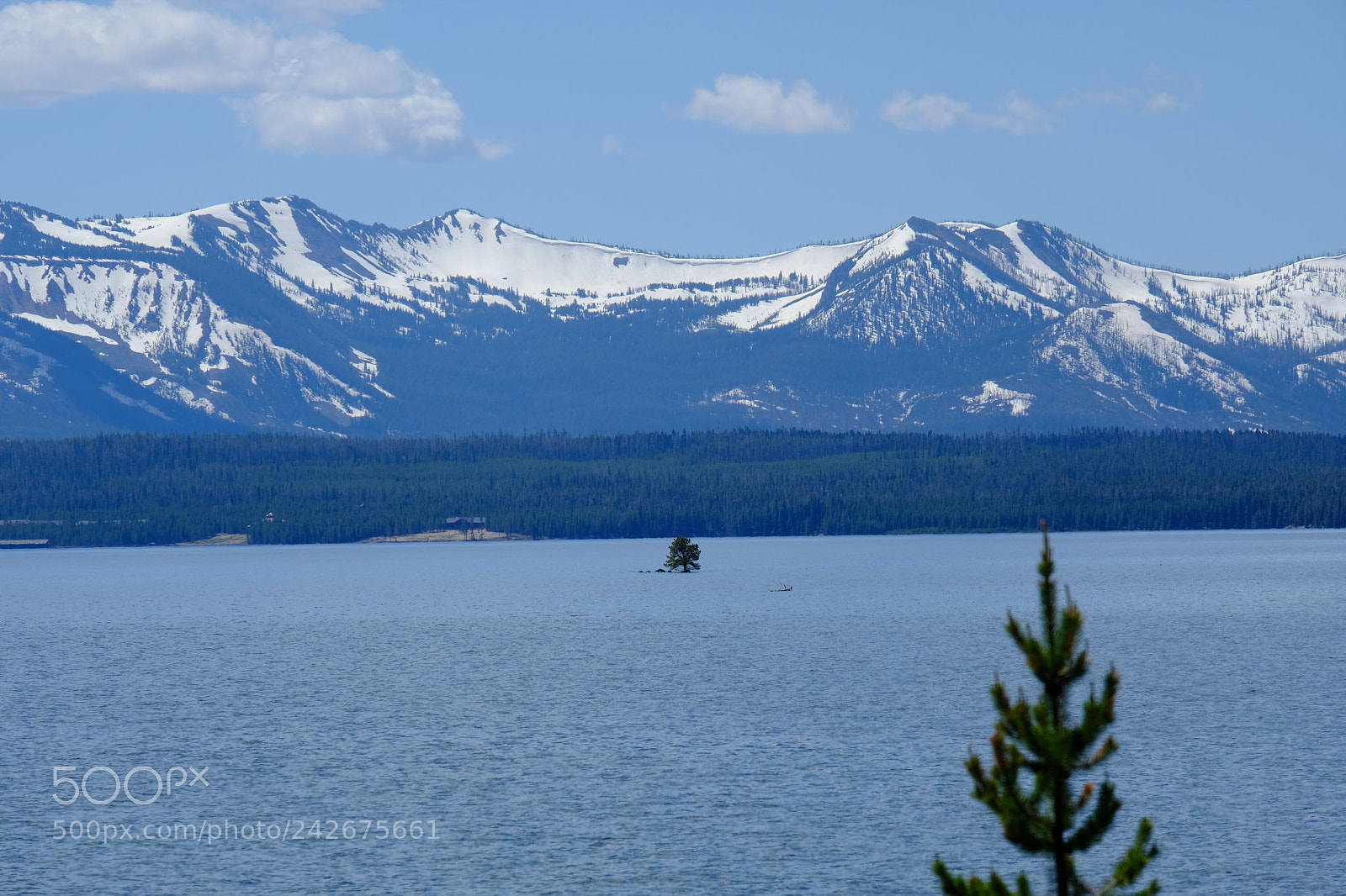 Fujifilm X-T2 sample photo. Yellowstone photography