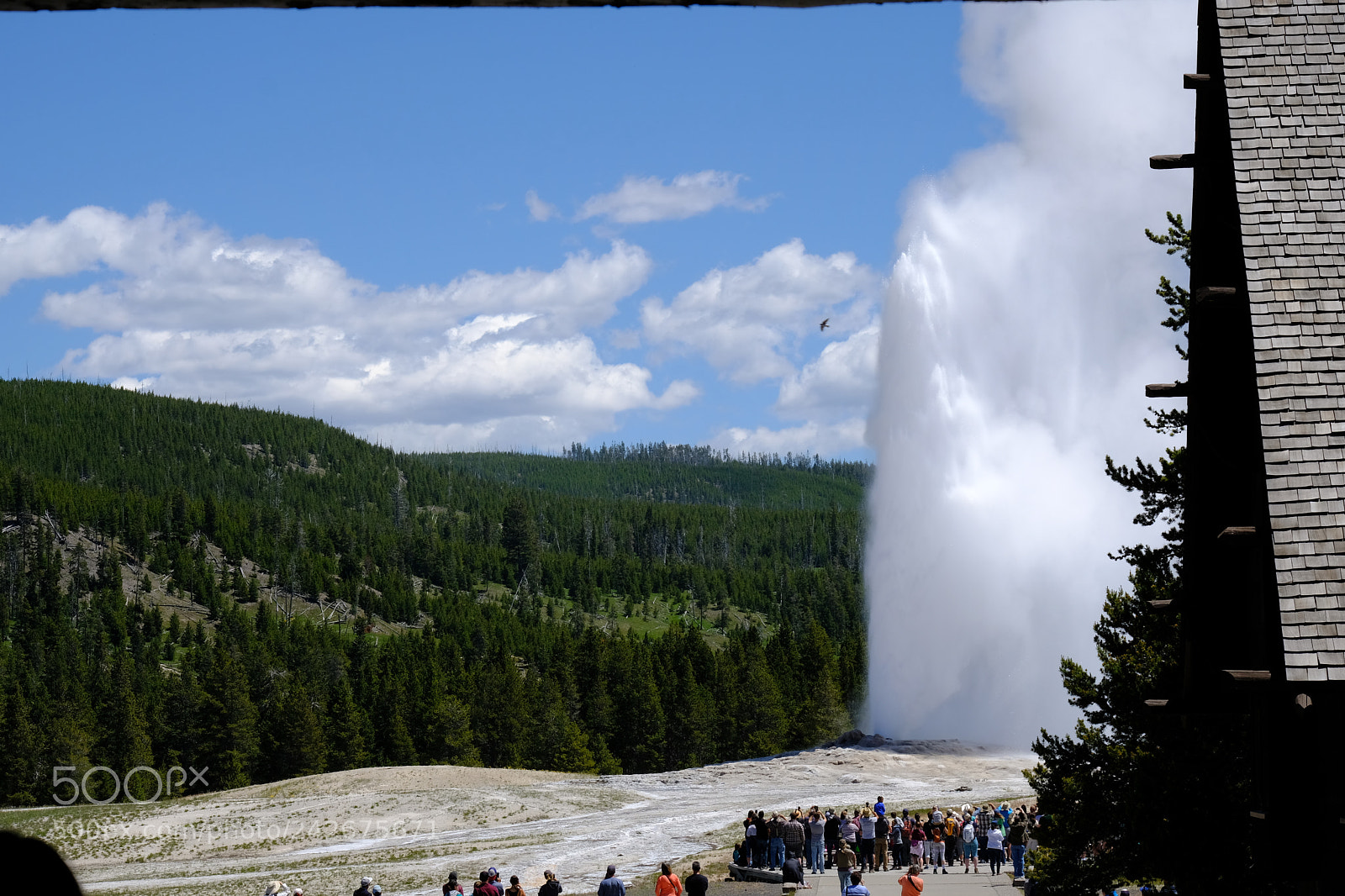 Fujifilm X-T2 sample photo. Yellowstone photography