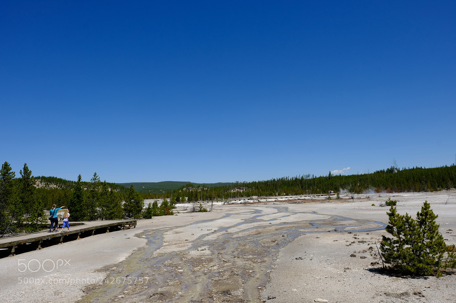 Fujifilm X-T2 sample photo. Yellowstone photography