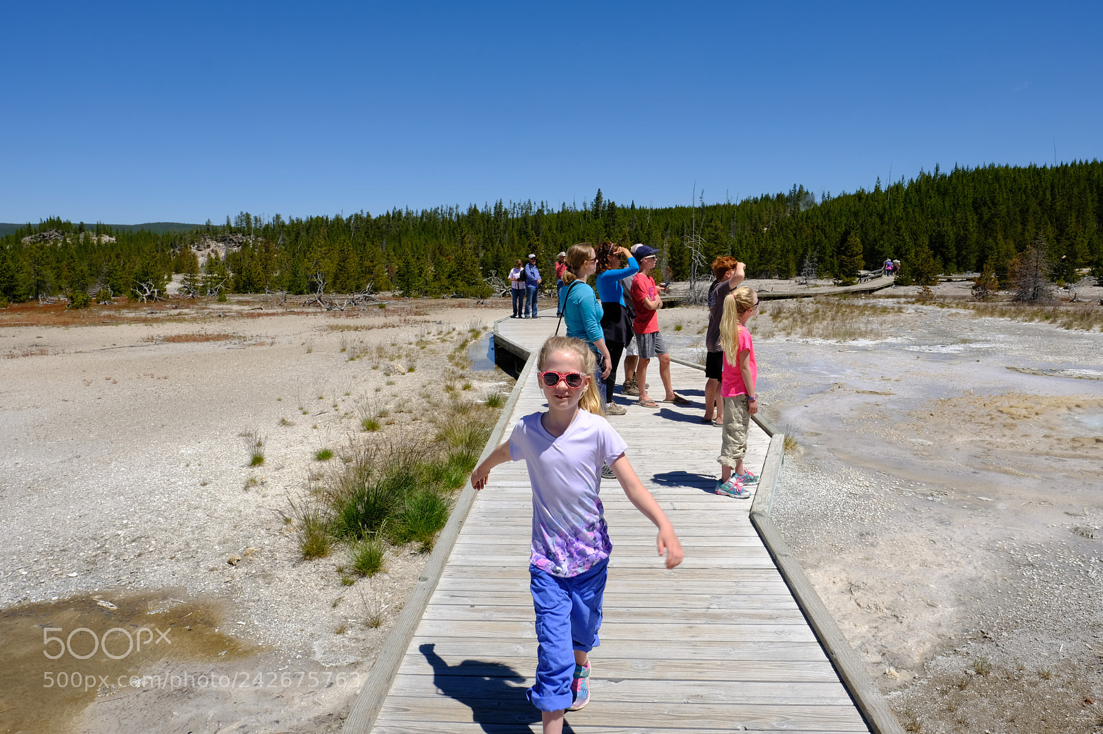 Fujifilm X-T2 sample photo. Yellowstone photography