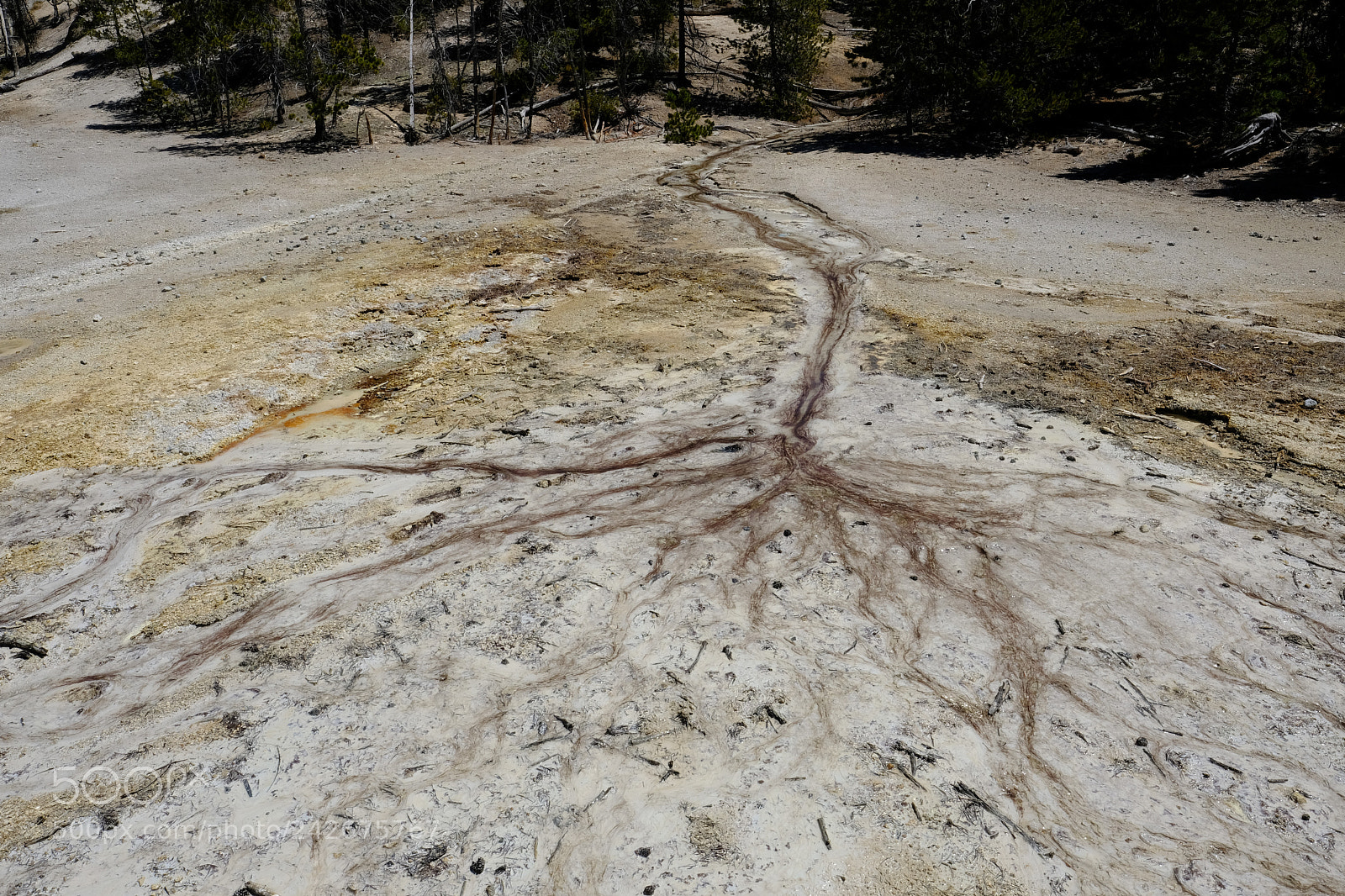 Fujifilm X-T2 sample photo. Yellowstone photography