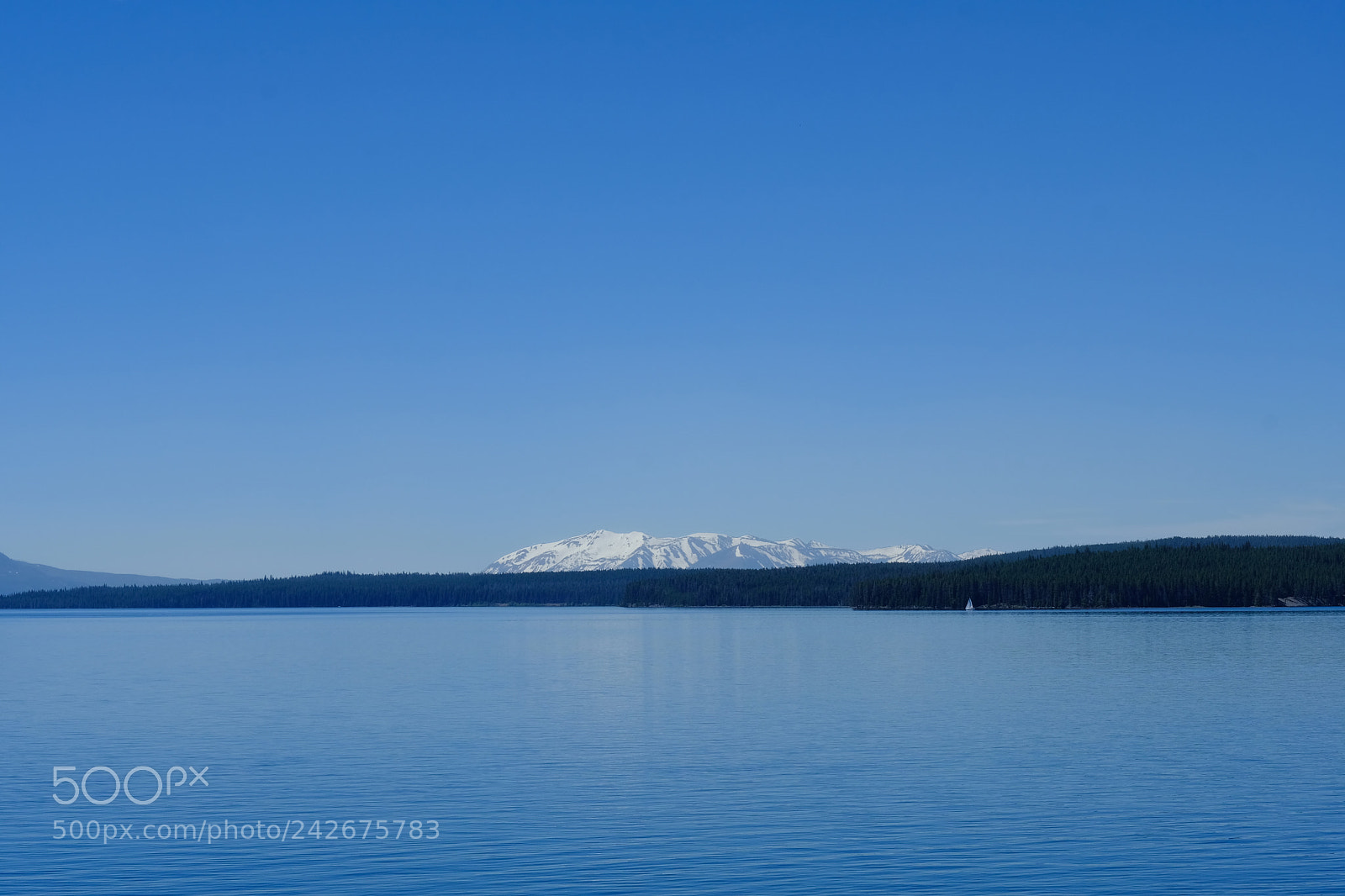 Fujifilm X-T2 sample photo. Yellowstone photography