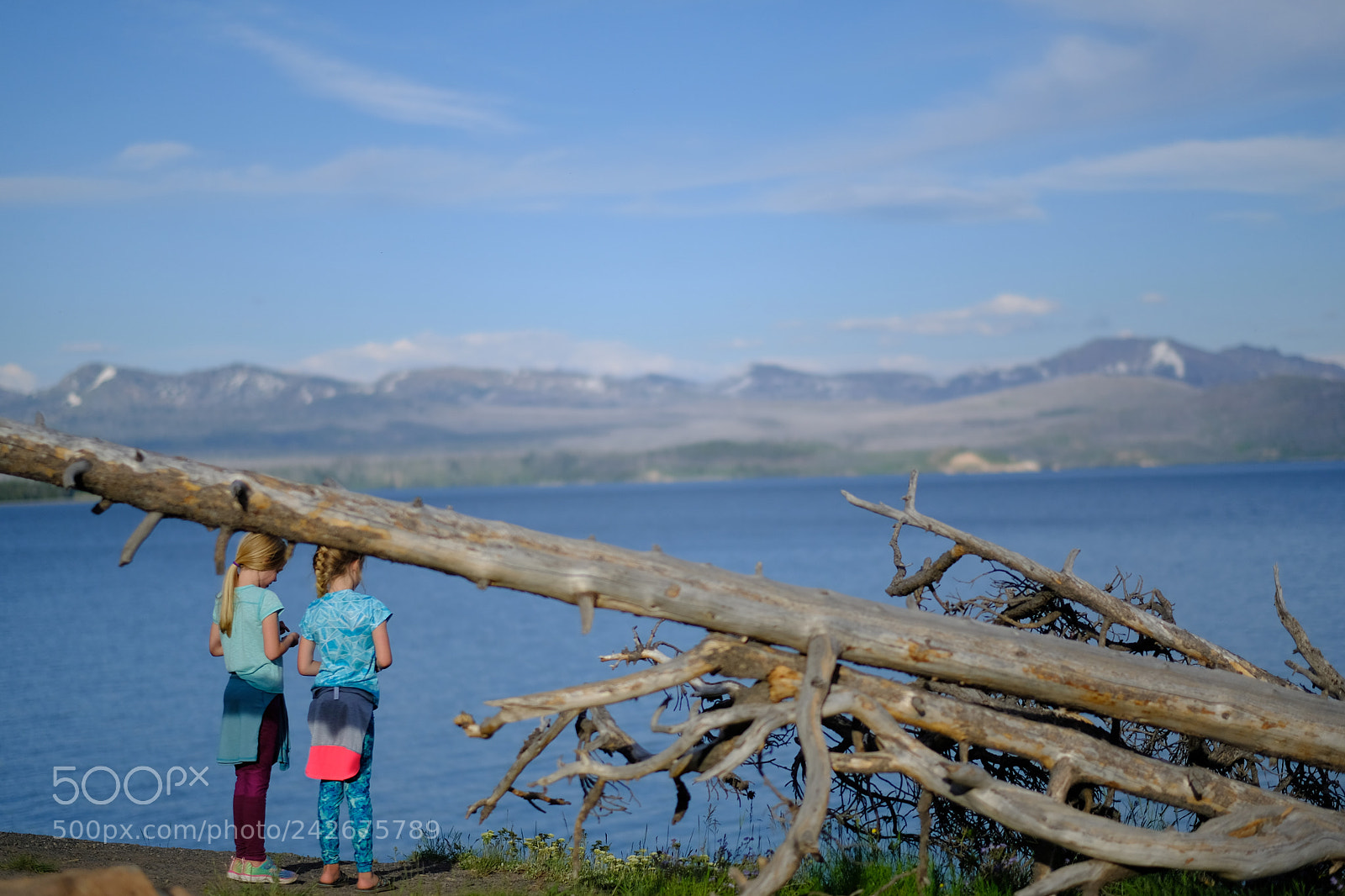 Fujifilm X-T2 sample photo. Yellowstone photography