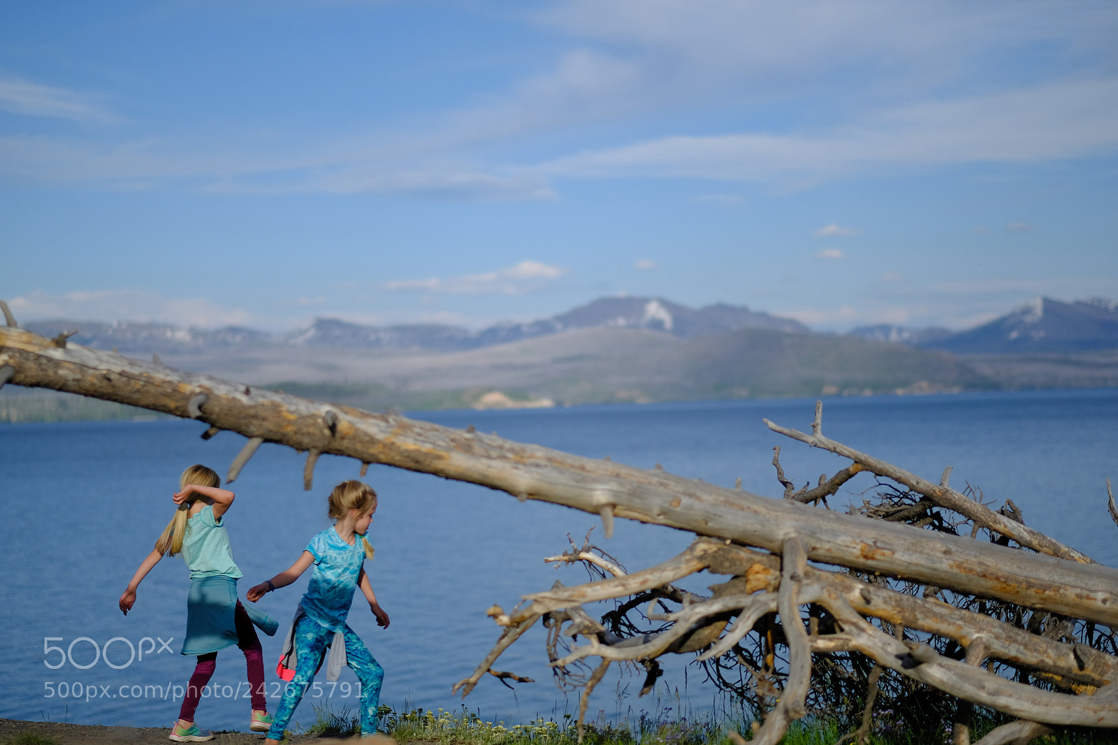 Fujifilm X-T2 sample photo. Yellowstone photography