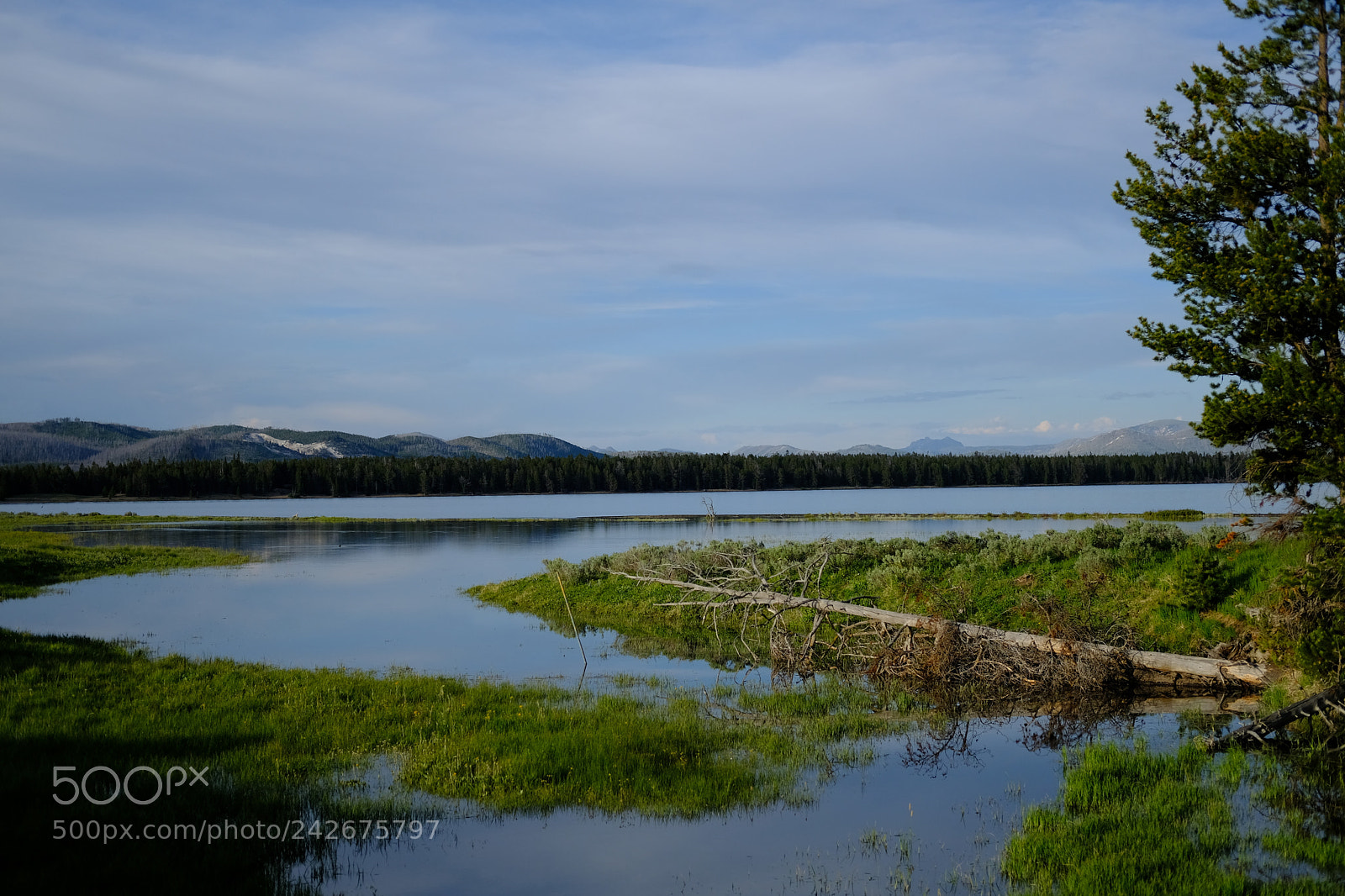 Fujifilm X-T2 sample photo. Yellowstone photography