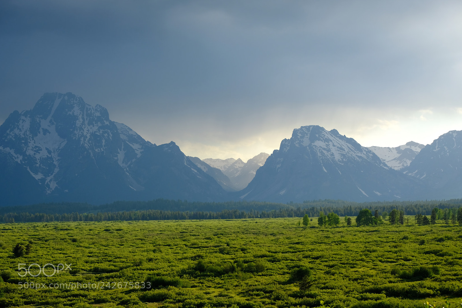 Fujifilm X-T2 sample photo. Grand tetons photography