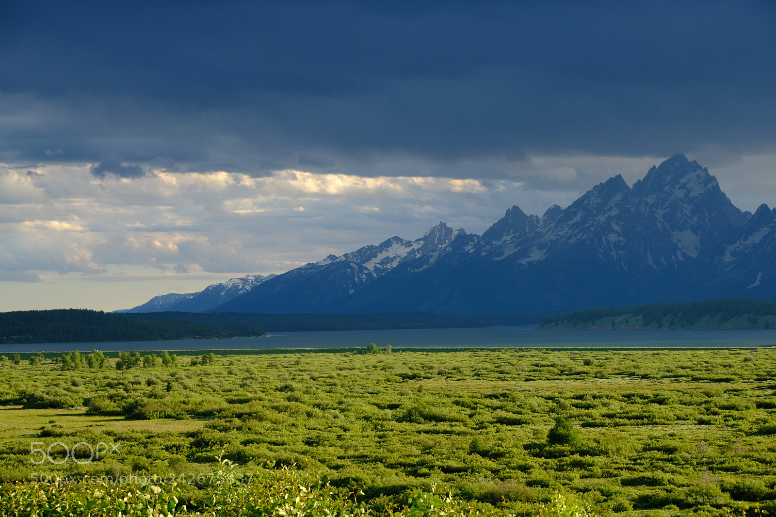 Fujifilm X-T2 sample photo. Grand tetons photography