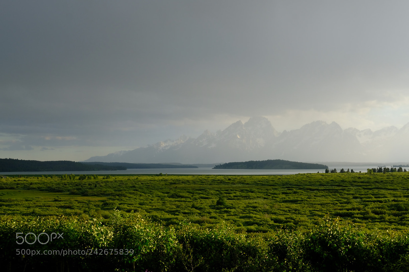 Fujifilm X-T2 sample photo. Grand tetons photography