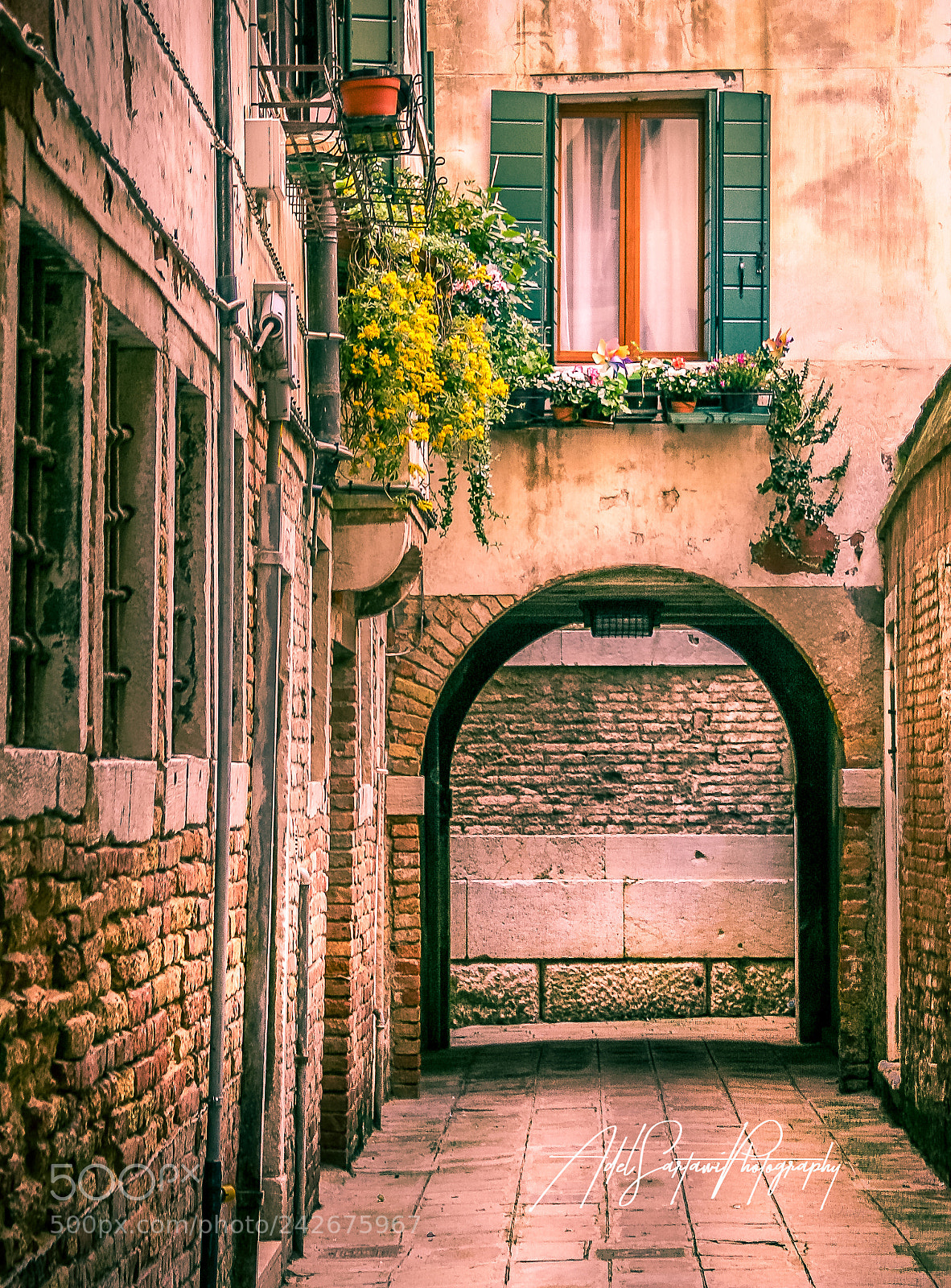 Canon EOS 20D sample photo. A walk in venice photography