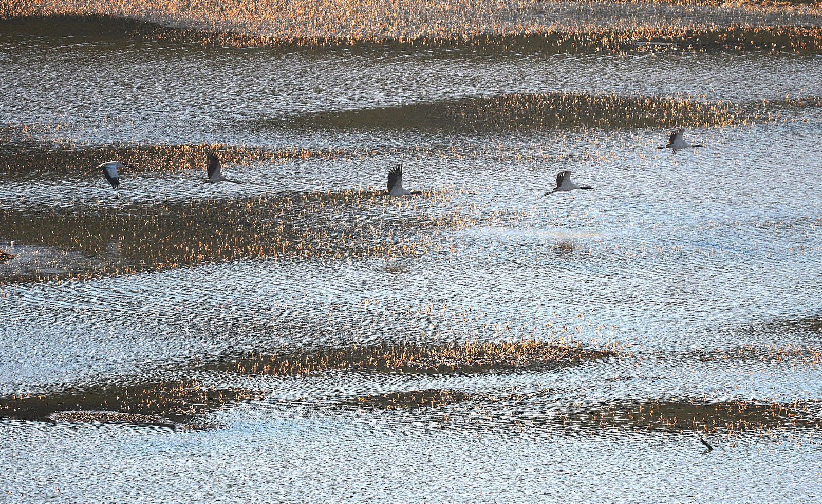 Nikon D800 sample photo. Untitled photography
