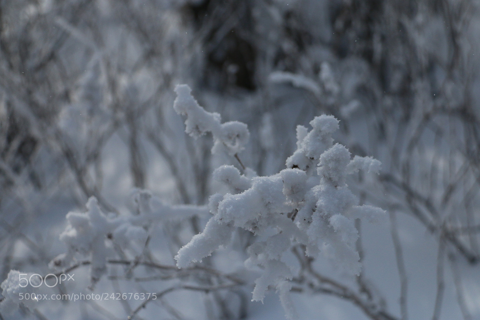 Canon EF-S 18-200mm F3.5-5.6 IS sample photo. Snow sticks photography