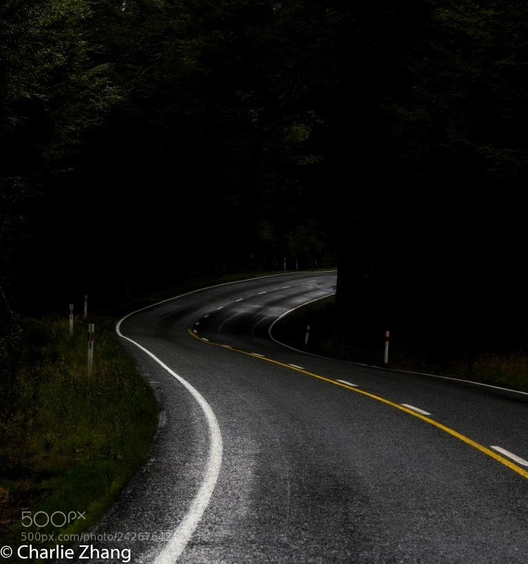 Canon EOS-1D X sample photo. Untitled photography