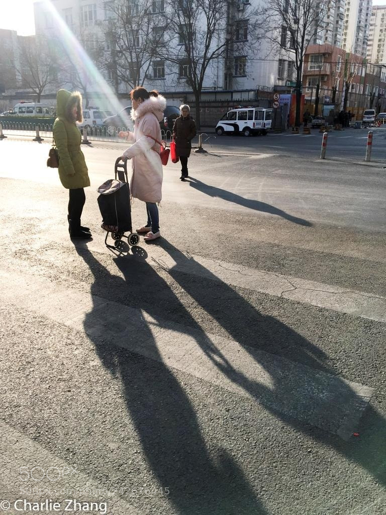 Apple iPhone 6s Plus sample photo. Untitled photography