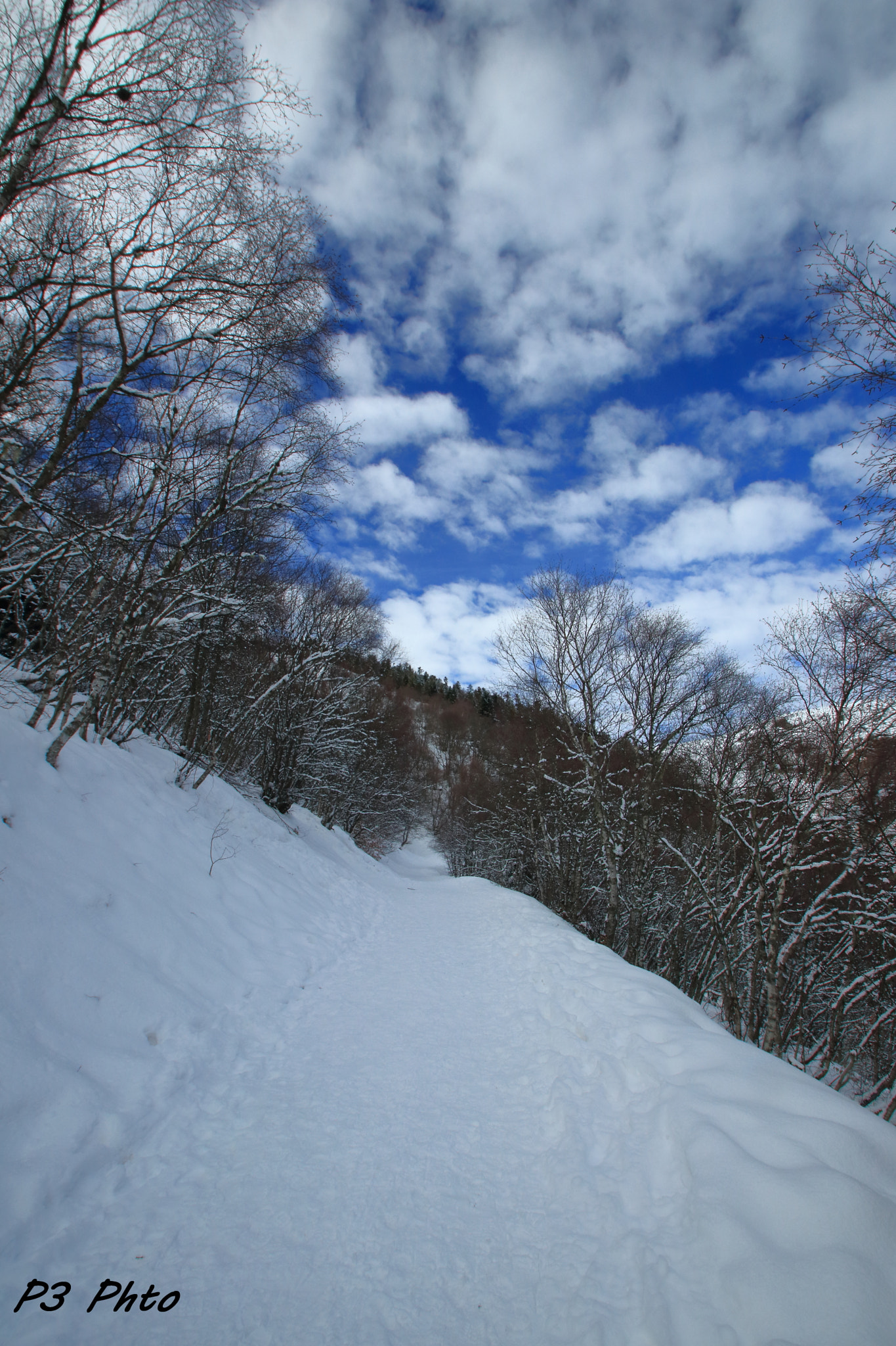 Sigma 10-20mm F3.5 EX DC HSM sample photo. Img photography