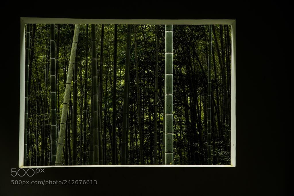 Canon EOS-1D X sample photo. Untitled photography