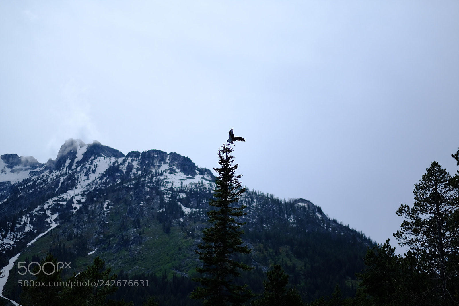 Fujifilm X-T2 sample photo. Grand tetons photography