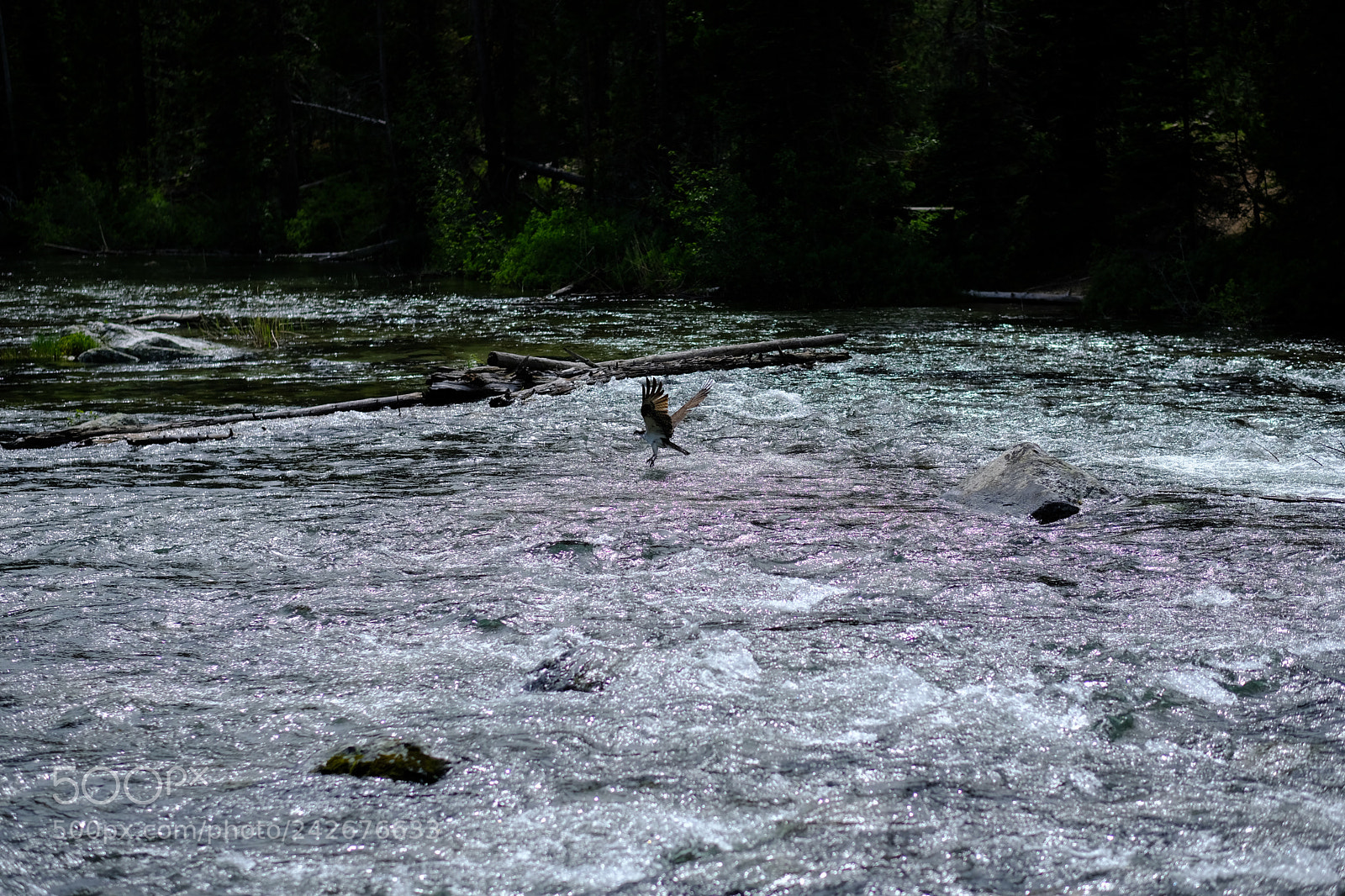 Fujifilm X-T2 sample photo. Grand tetons photography
