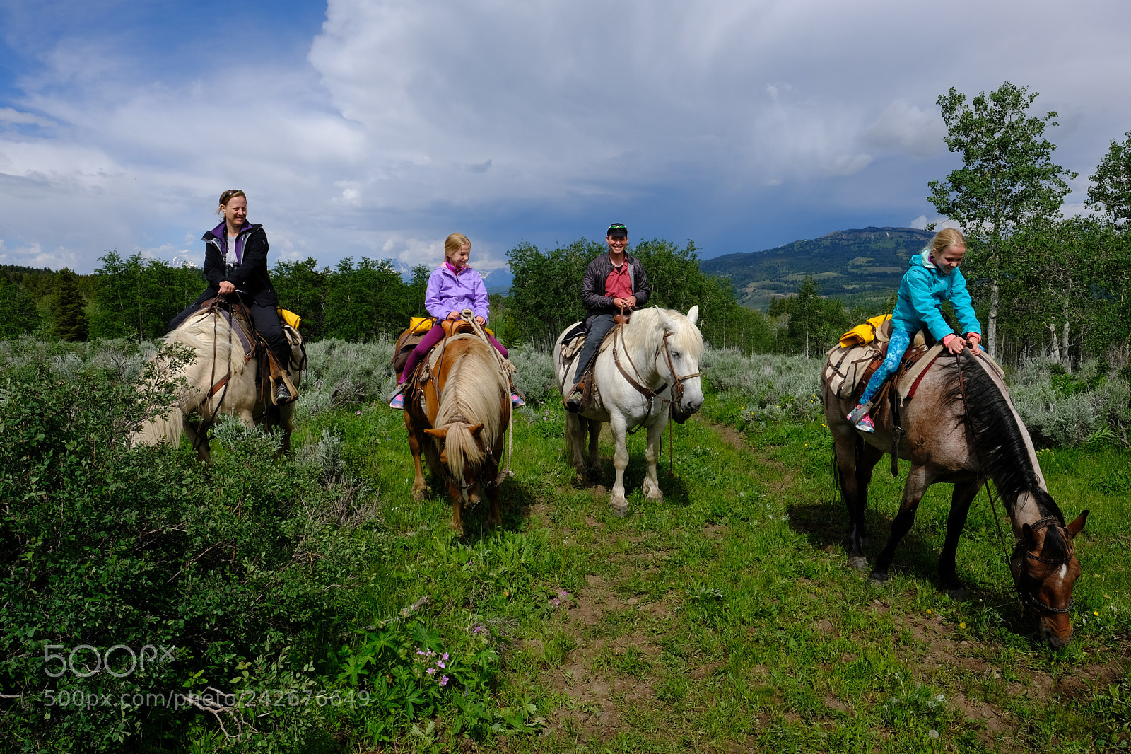 Fujifilm X-T2 sample photo. Grand tetons photography