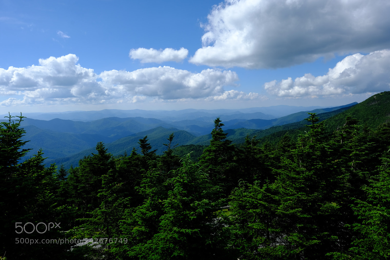 Fujifilm X-T2 sample photo. Mount mitchell photography