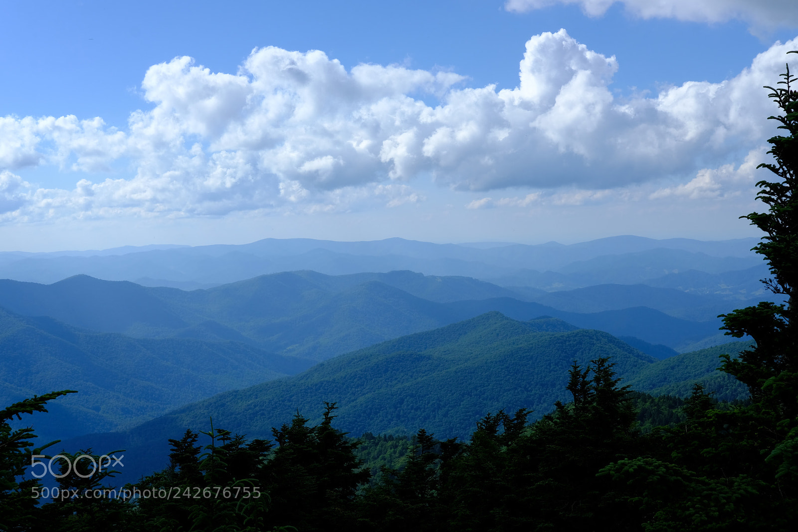 Fujifilm X-T2 sample photo. Mount mitchell photography