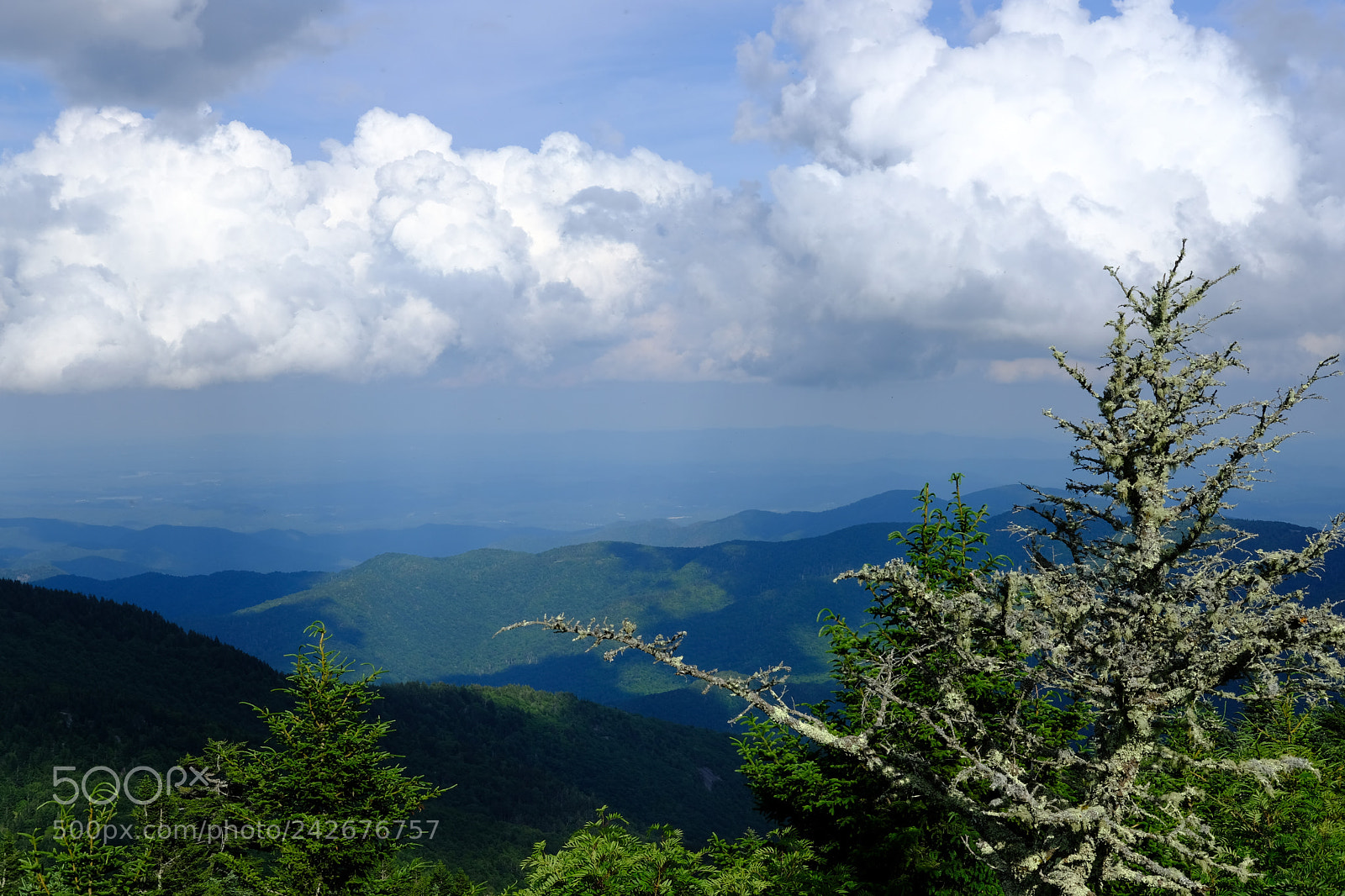 Fujifilm X-T2 sample photo. Mount mitchell photography