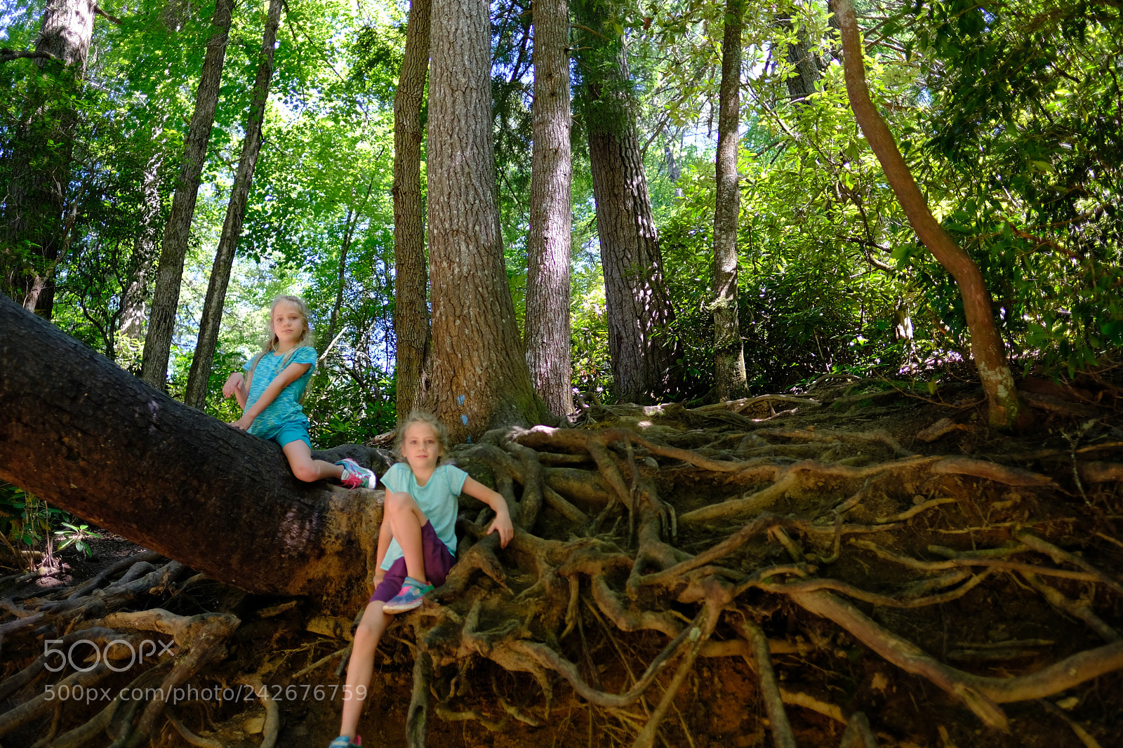Fujifilm X-T2 sample photo. Linville falls photography