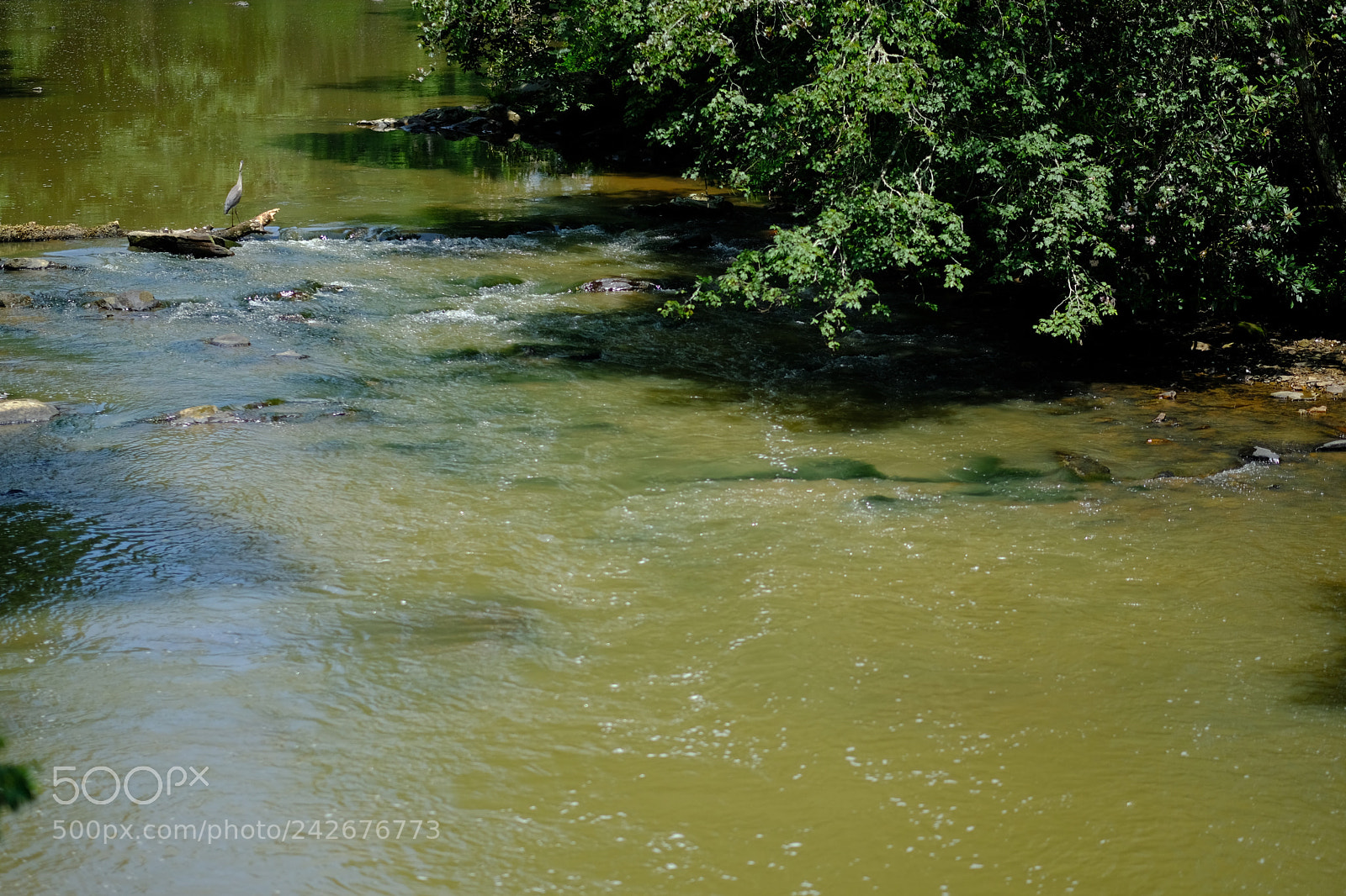 Fujifilm X-T2 sample photo. Linville falls photography