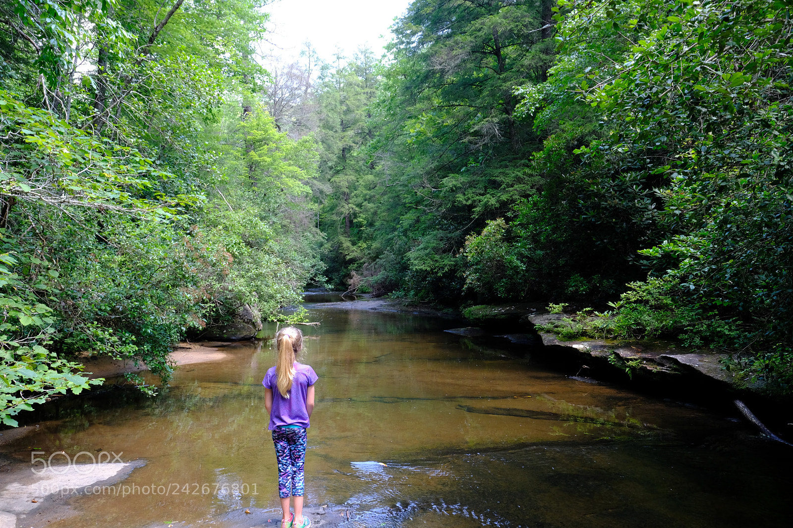 Fujifilm X-T2 sample photo. Cumberland falls photography