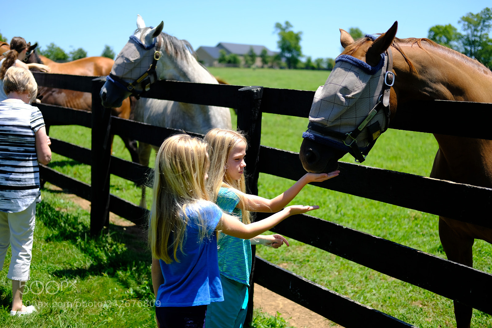 Fujifilm X-T2 sample photo. Lexington, ky photography