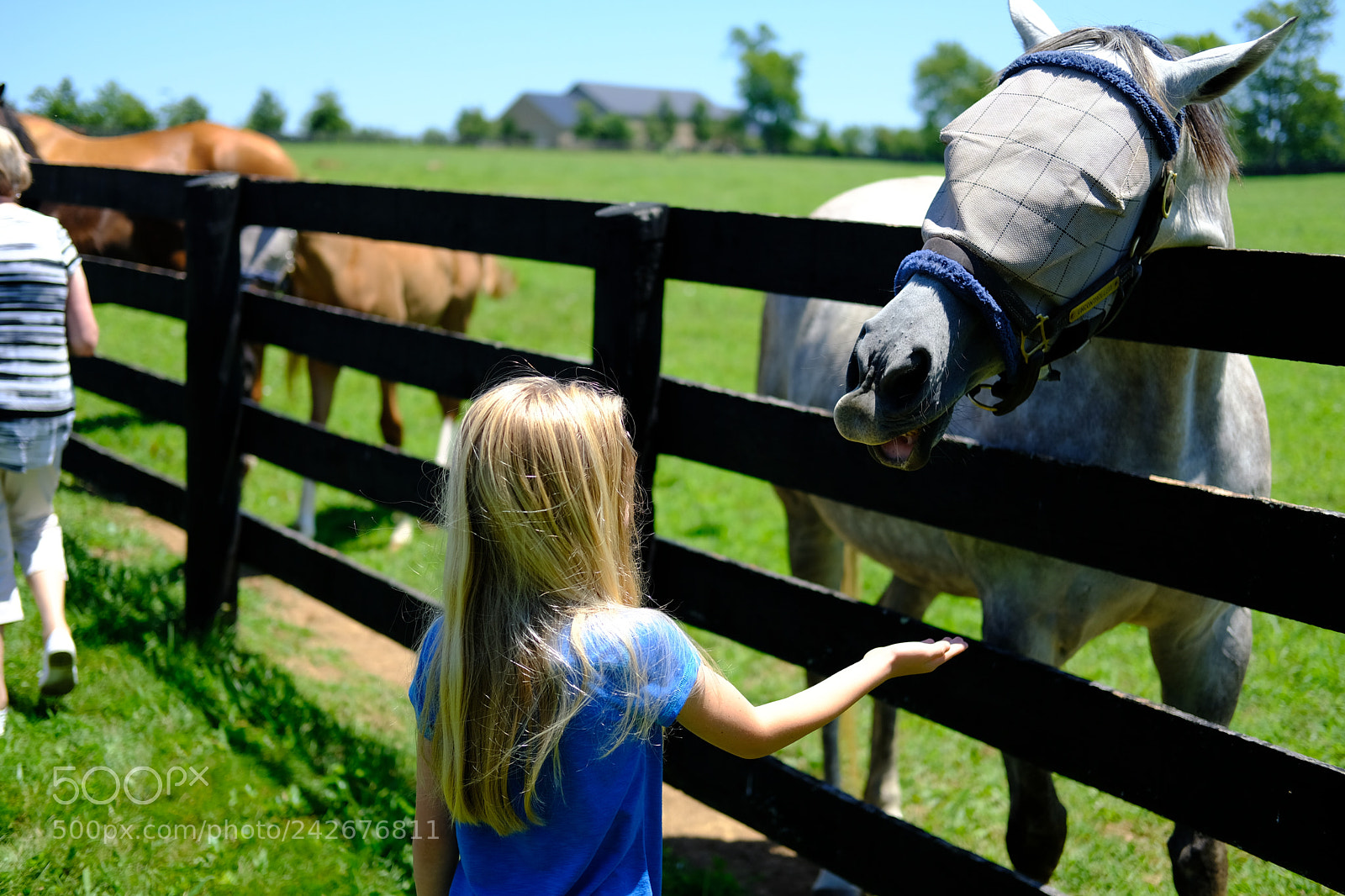 Fujifilm X-T2 sample photo. Lexington, ky photography