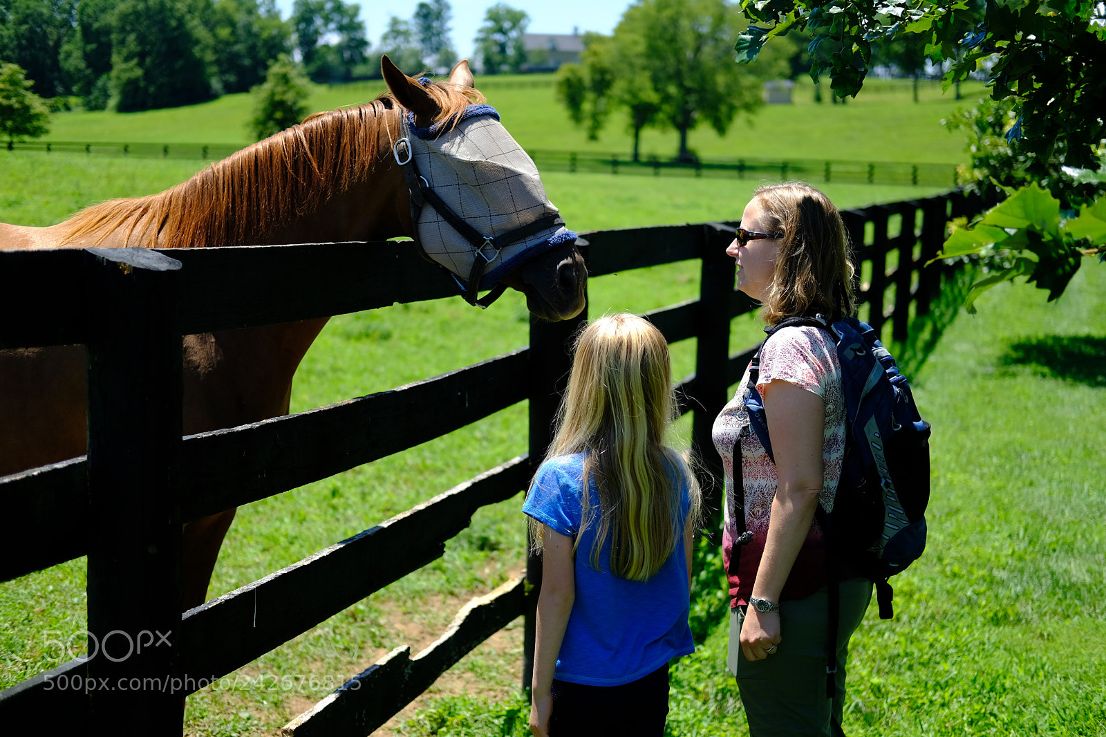 Fujifilm X-T2 sample photo. Lexington, ky photography