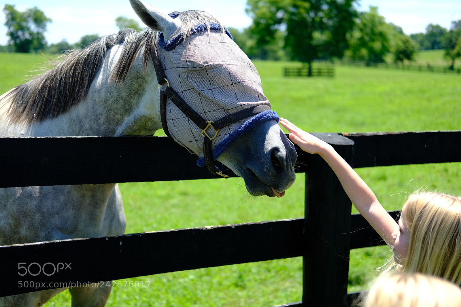 Fujifilm X-T2 sample photo. Lexington, ky photography