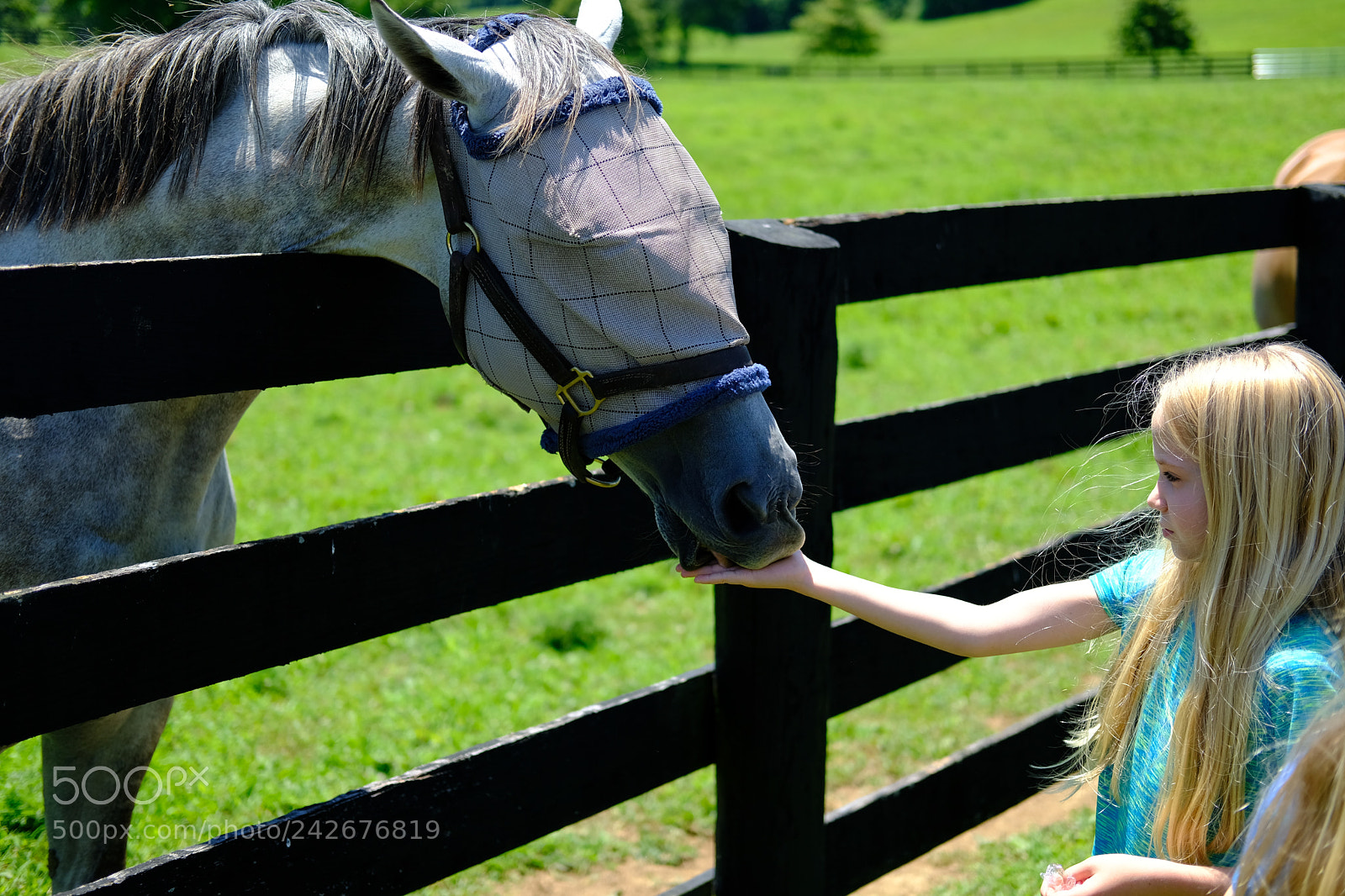 Fujifilm X-T2 sample photo. Lexington, ky photography
