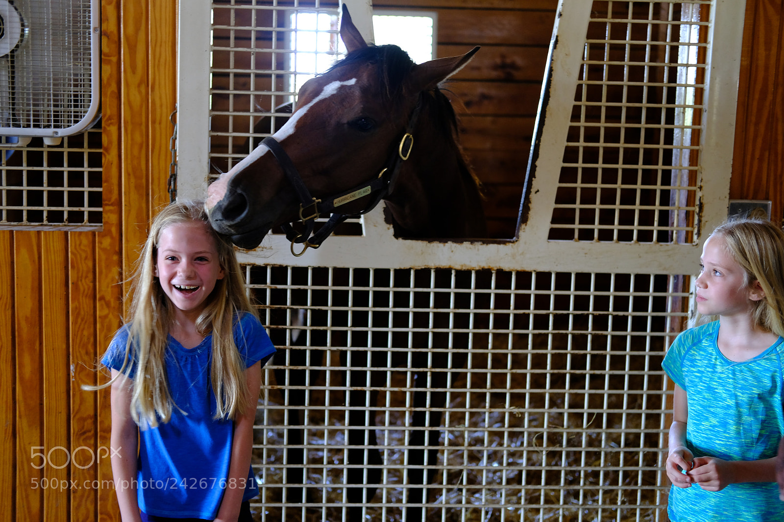 Fujifilm X-T2 sample photo. Lexington, ky photography
