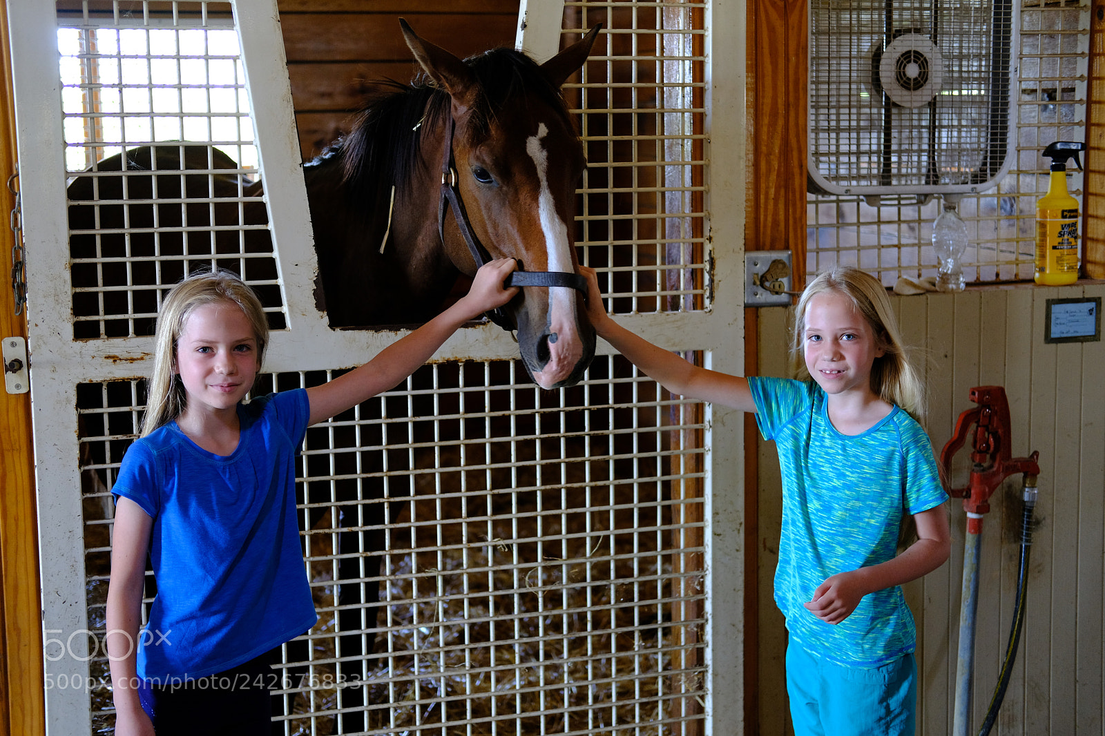 Fujifilm X-T2 sample photo. Lexington, ky photography