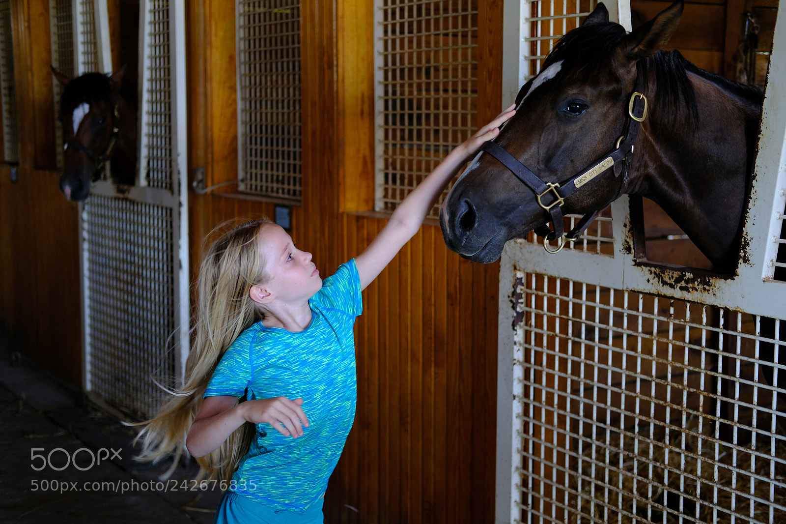 Fujifilm X-T2 sample photo. Lexington, ky photography