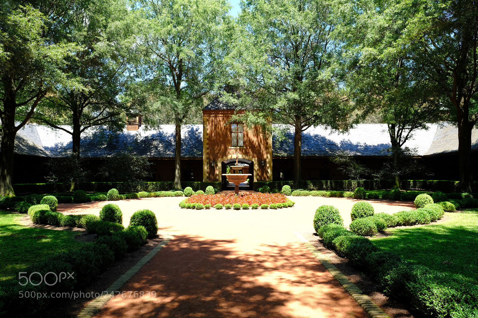 Fujifilm X-T2 sample photo. Lexington, ky photography