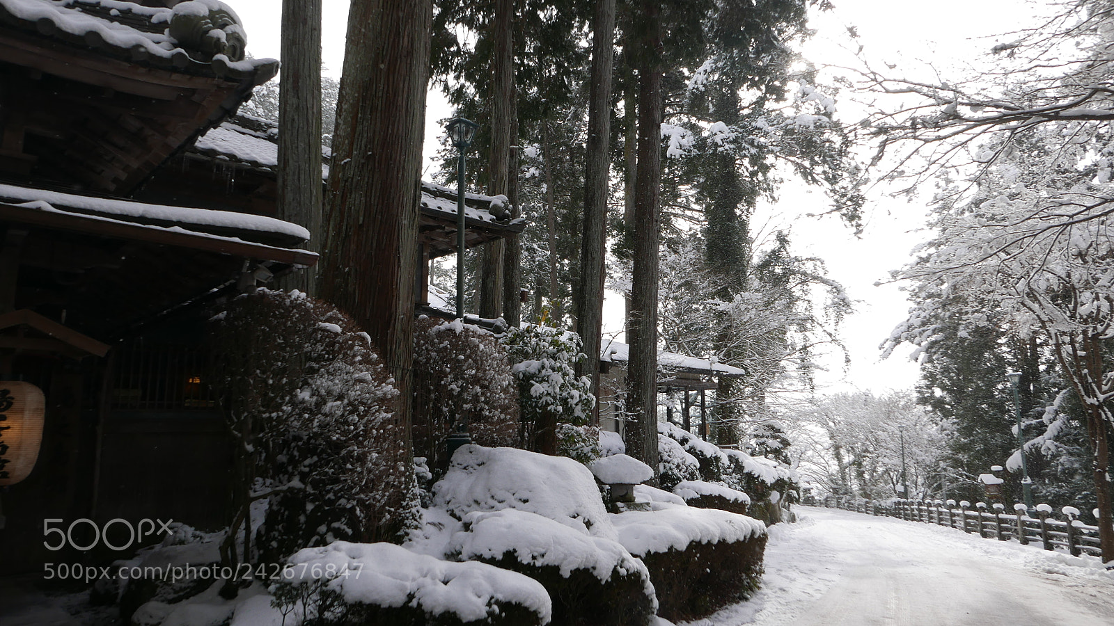 Leica D-Lux (Typ 109) sample photo. 雪后。。。 photography