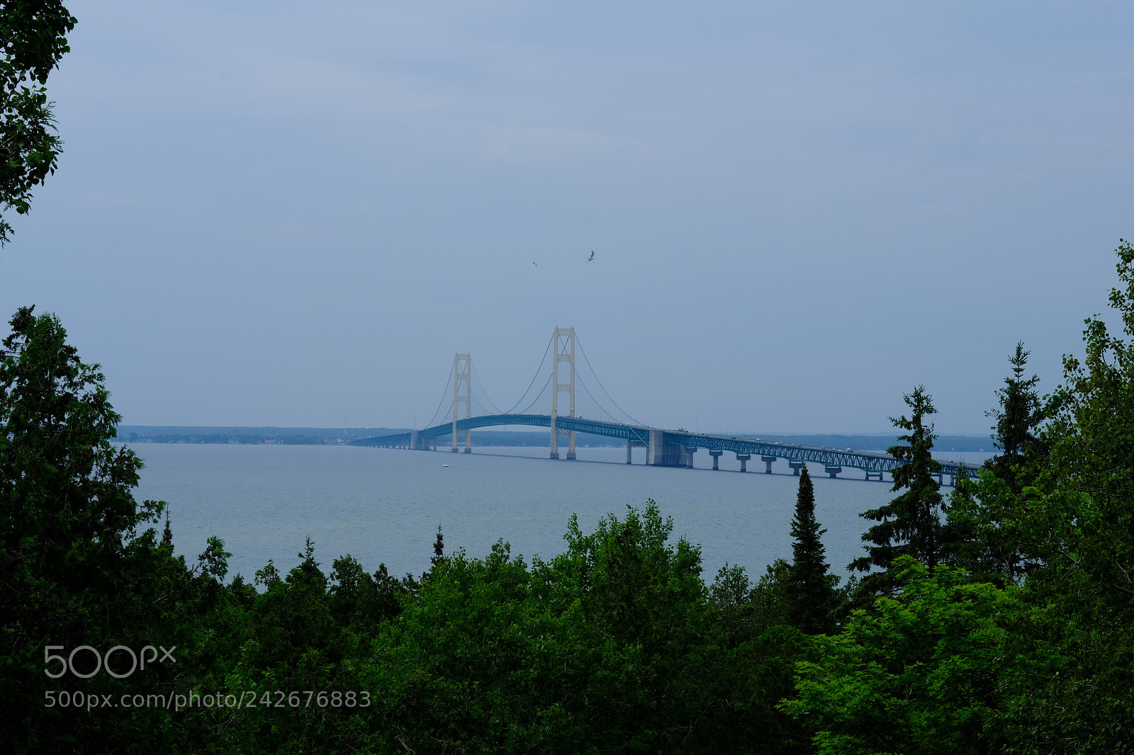 Fujifilm X-T2 sample photo. Mackinaw city and bridge photography