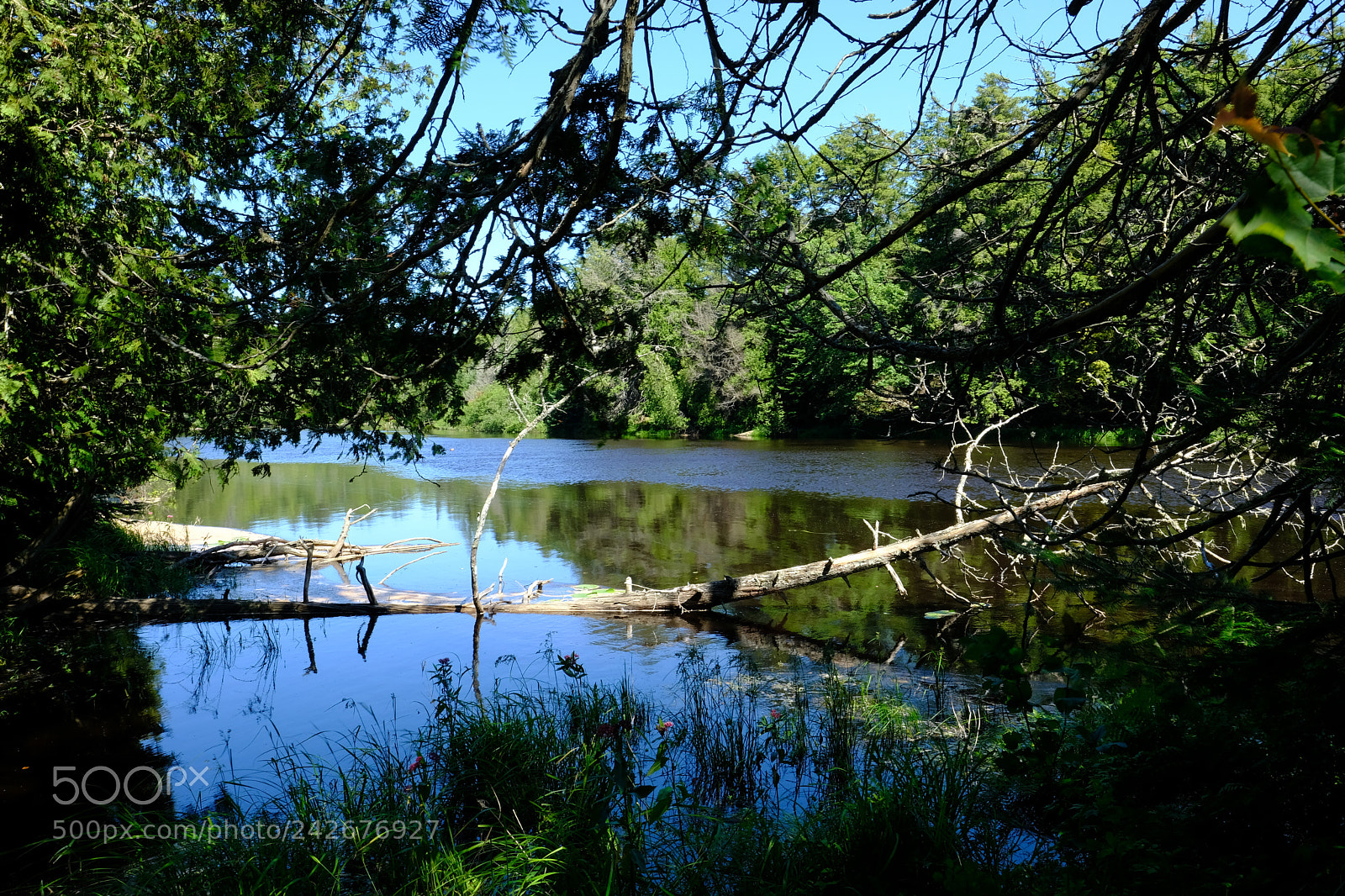Fujifilm X-T2 sample photo. Tahquamenon falls photography