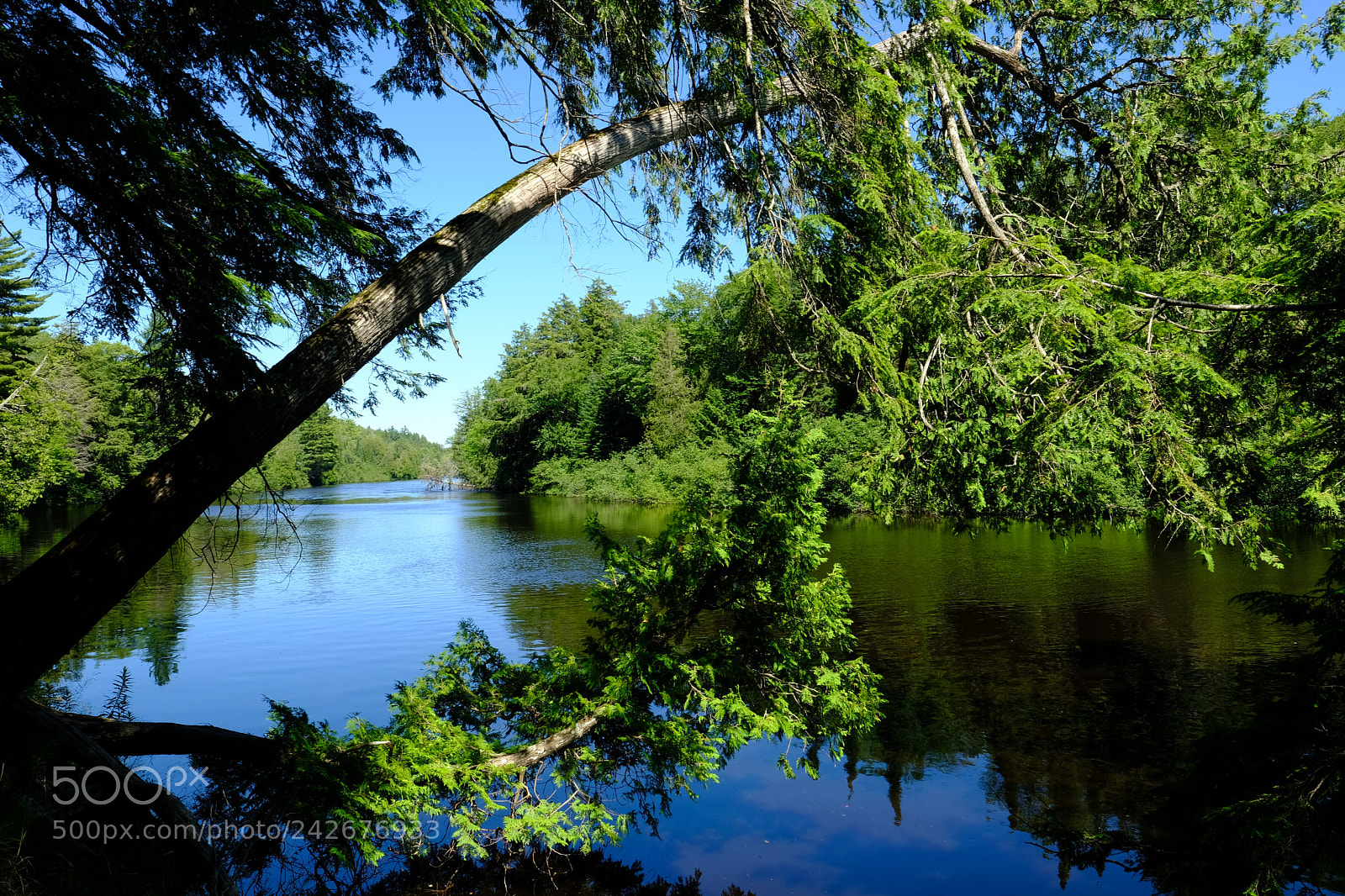 Fujifilm X-T2 sample photo. Tahquamenon falls photography