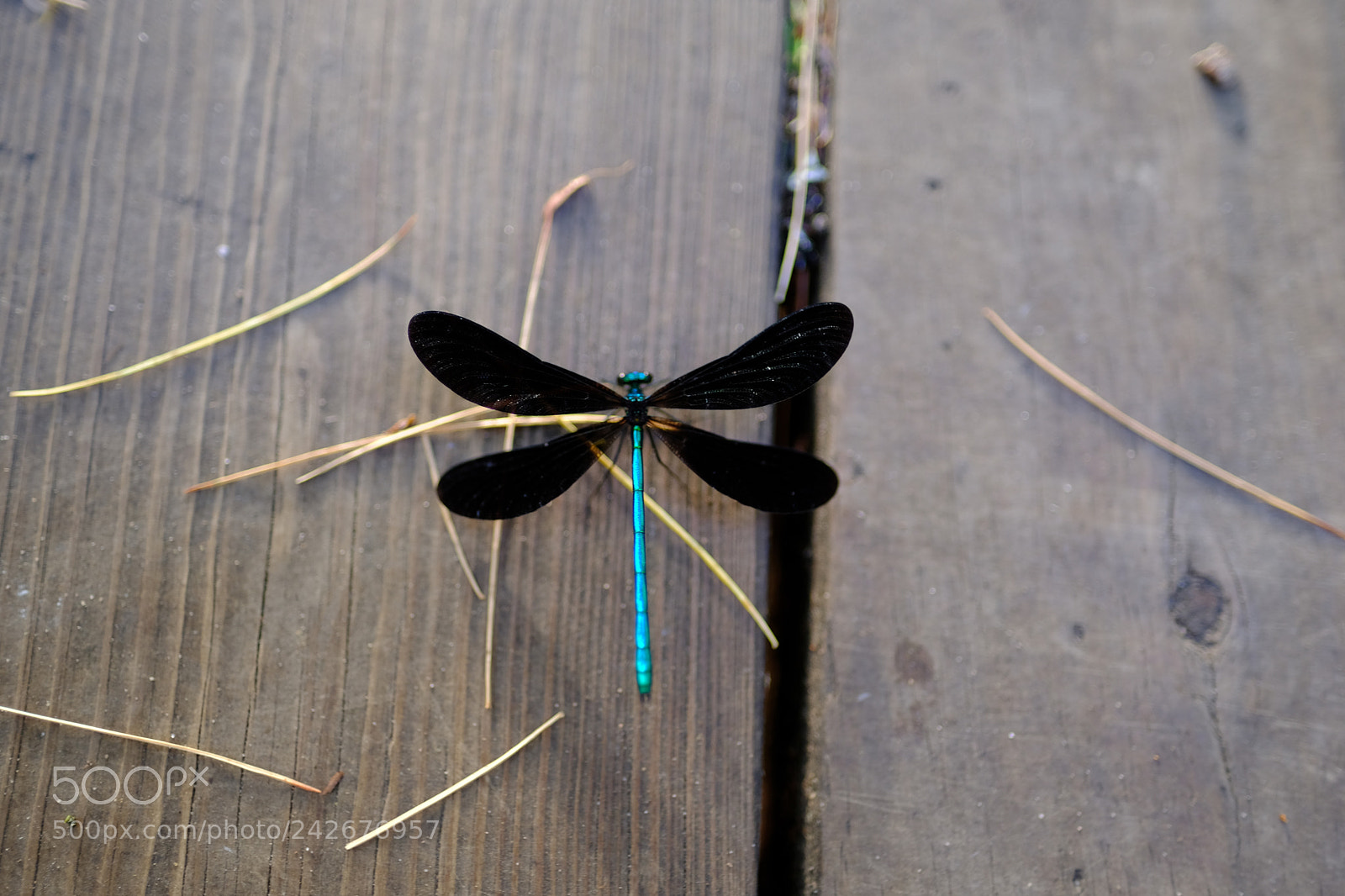 Fujifilm X-T2 sample photo. Tahquamenon falls photography