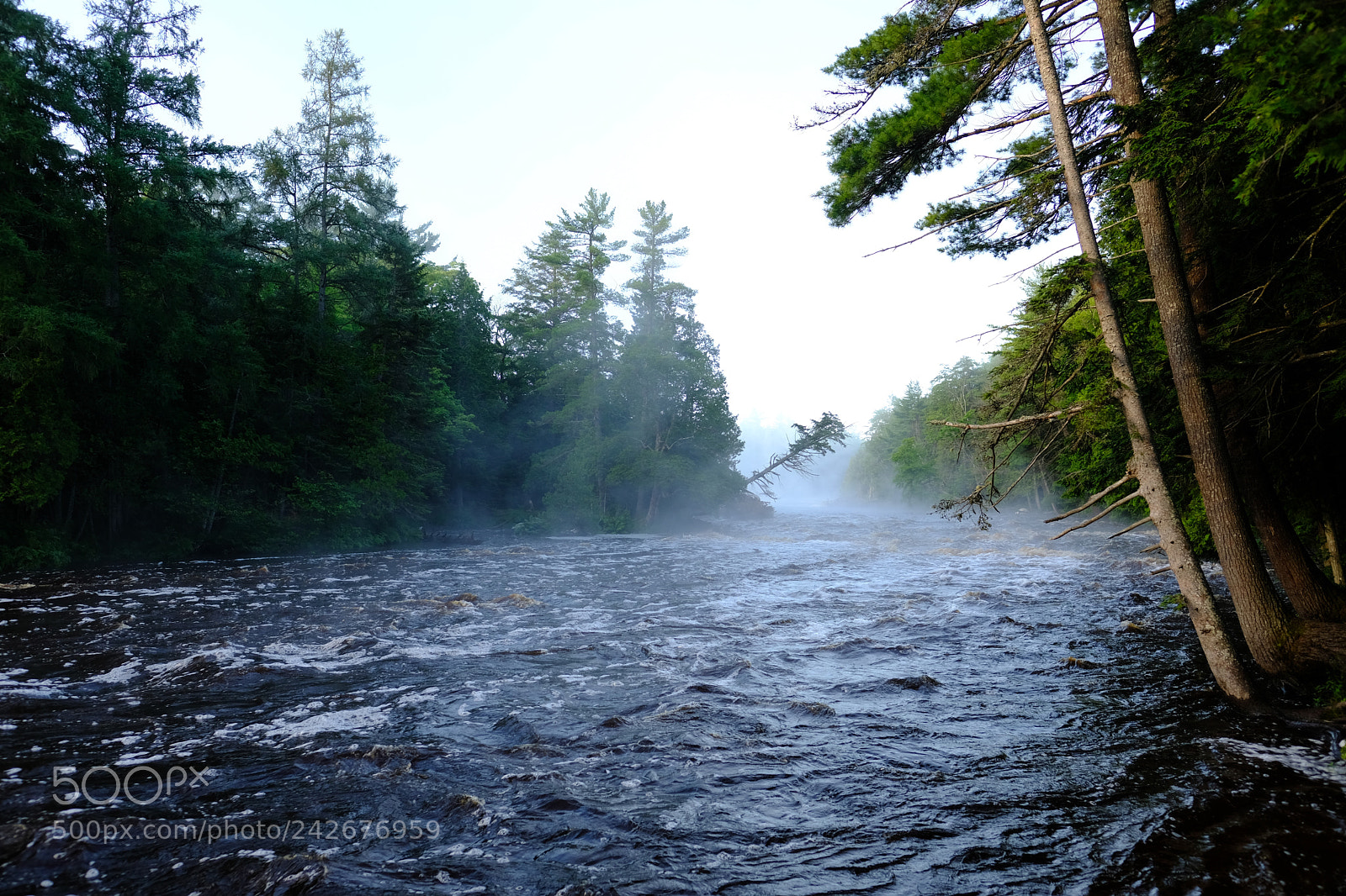 Fujifilm X-T2 sample photo. Tahquamenon falls photography