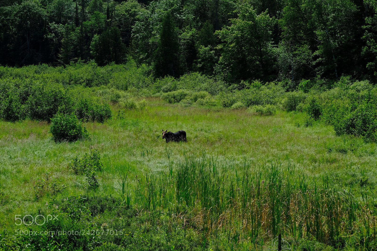 Fujifilm X-T2 sample photo. Pictured rocks to duluth photography