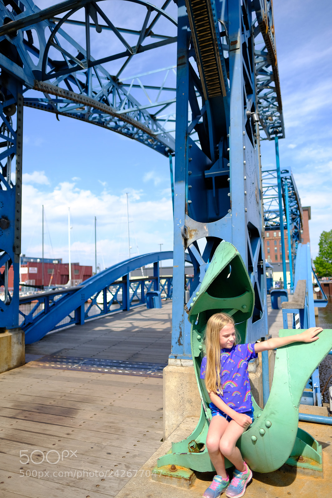 Fujifilm X-T2 sample photo. Duluth photography