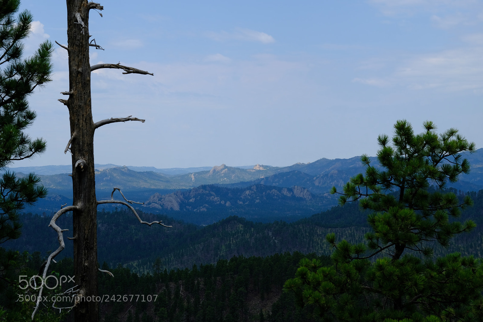 Fujifilm X-T2 sample photo. Black hills, sd photography