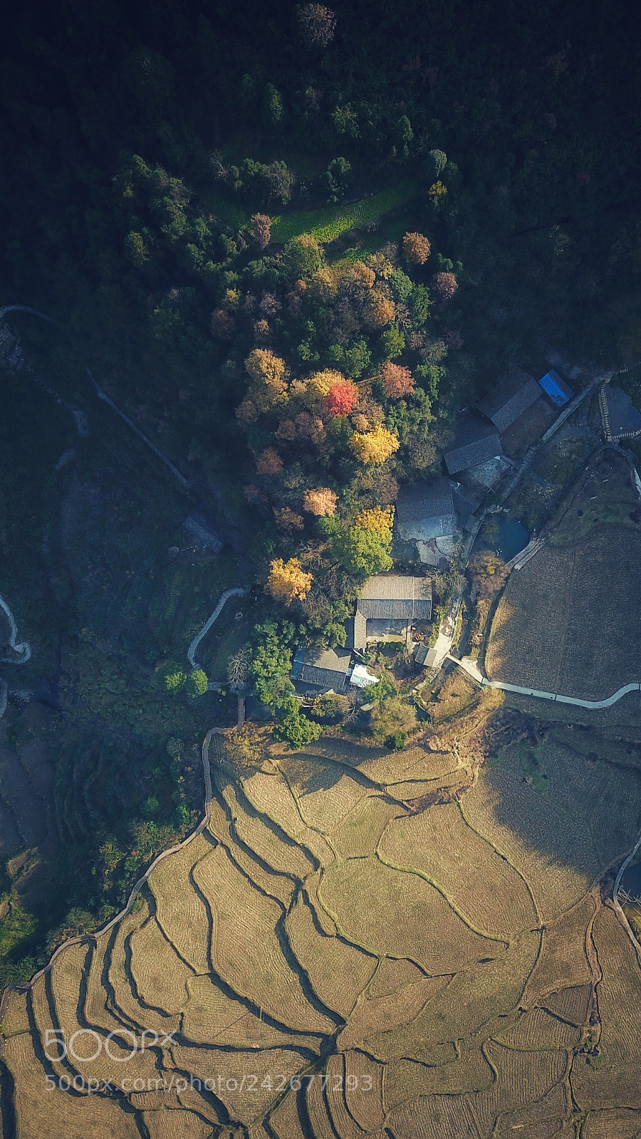 DJI FC220 sample photo. Untitled photography