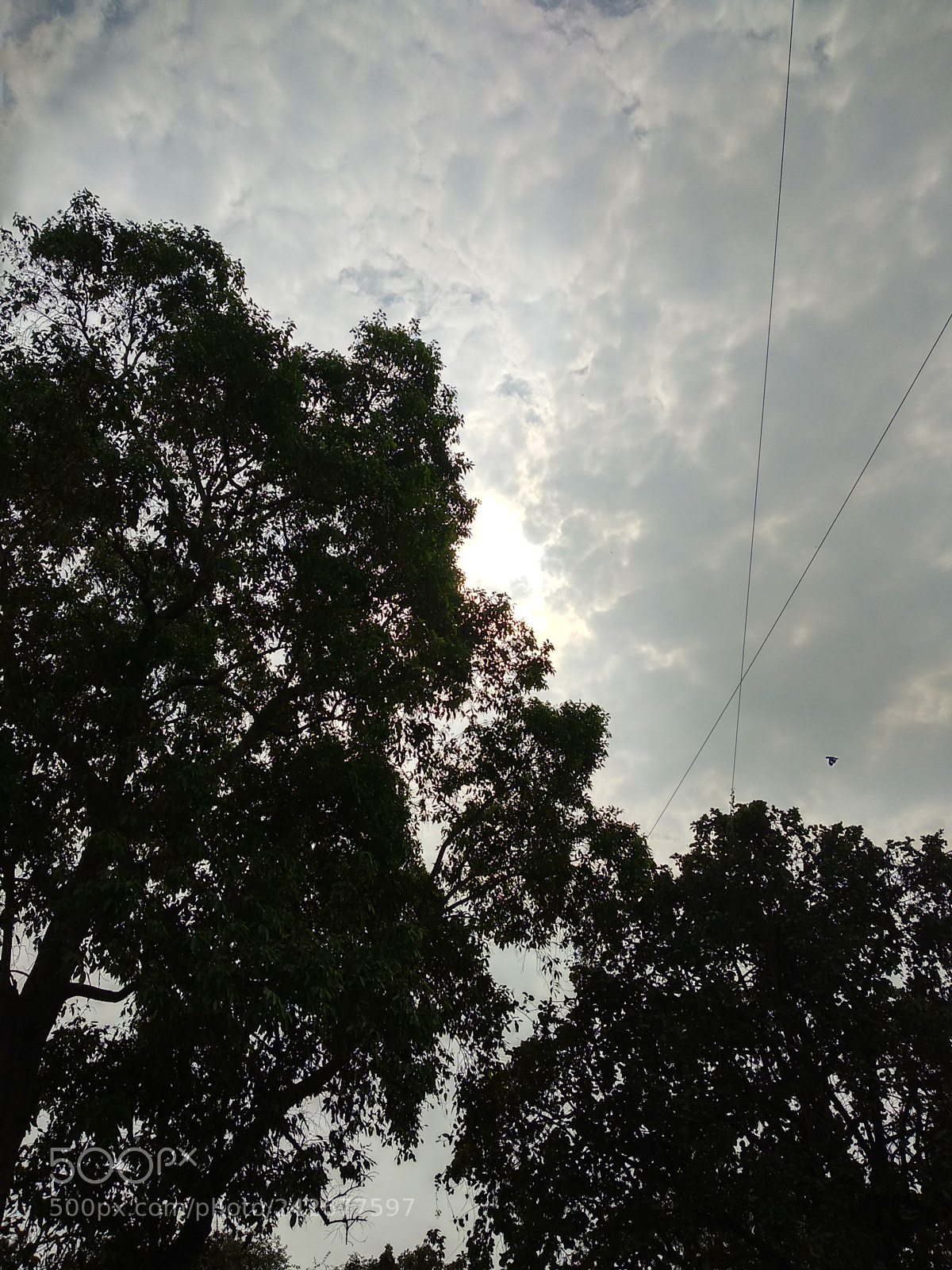 Xiaomi Mi A1 sample photo. Untitled photography
