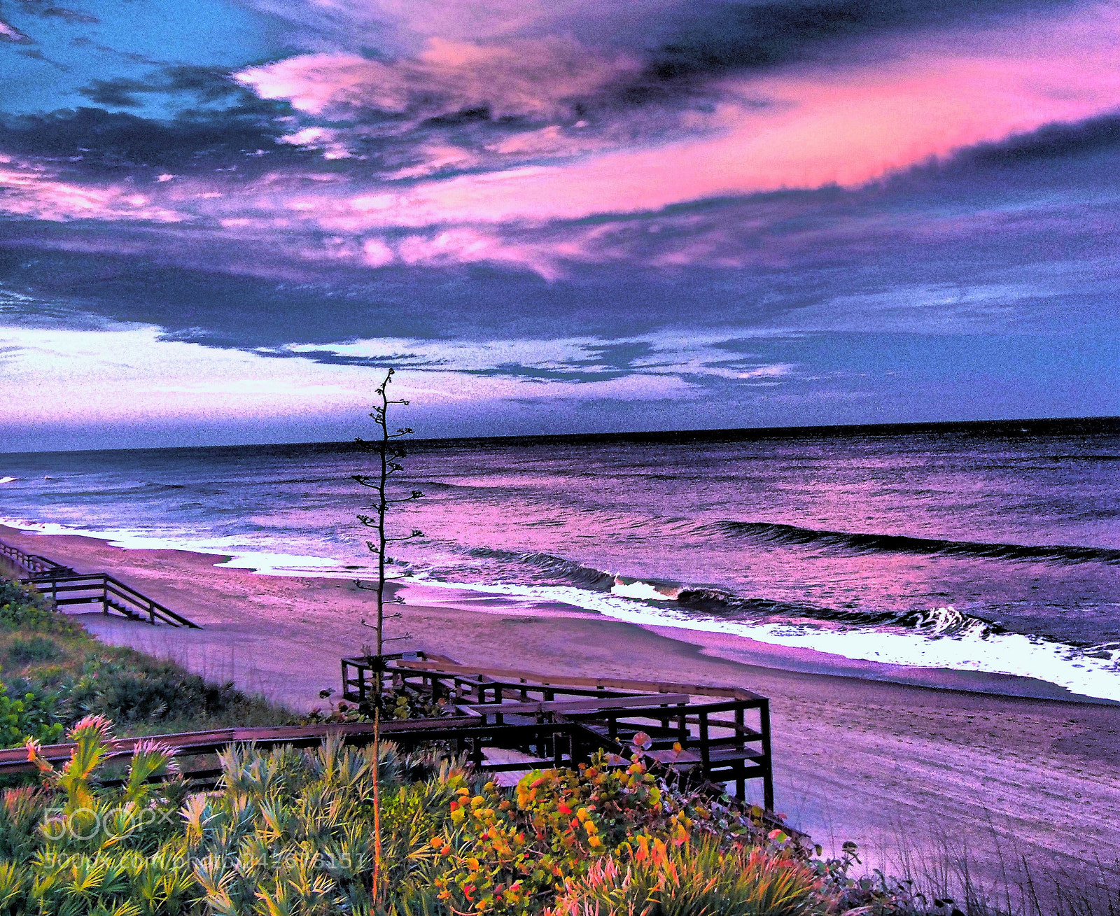 Olympus PEN E-PM2 sample photo. Cotton candy sky photography